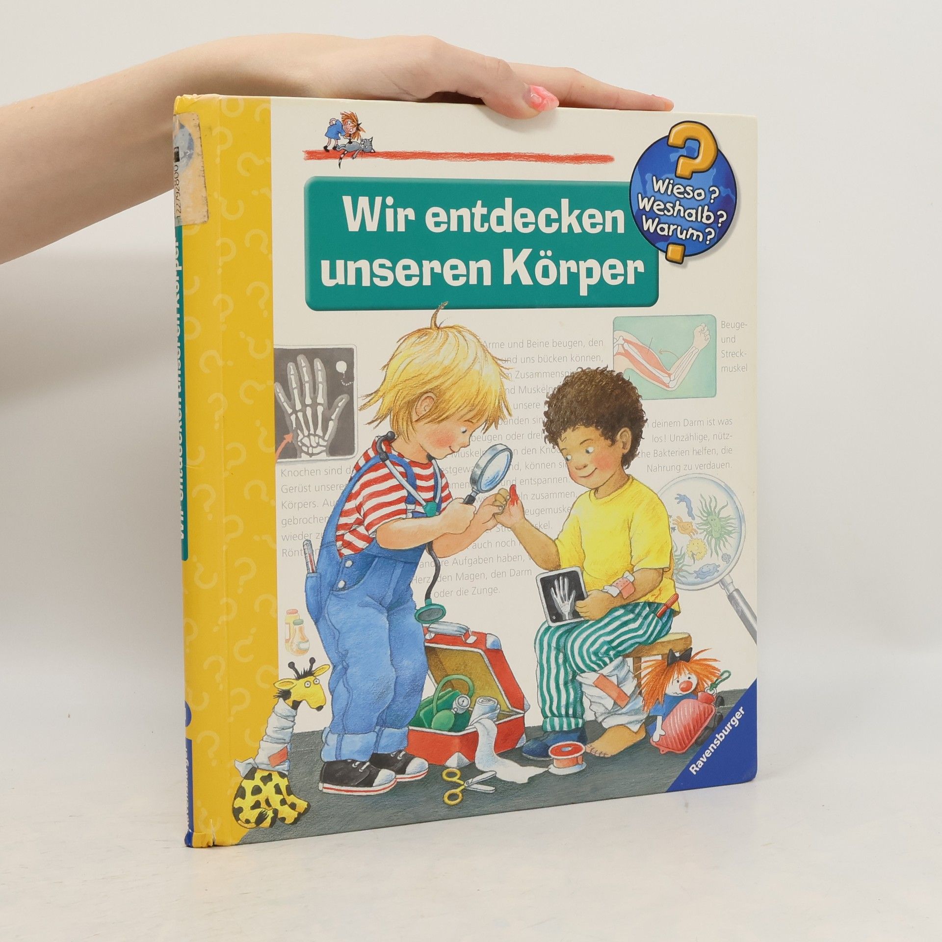 Doris Rübel Wir entdecken unseren Körper