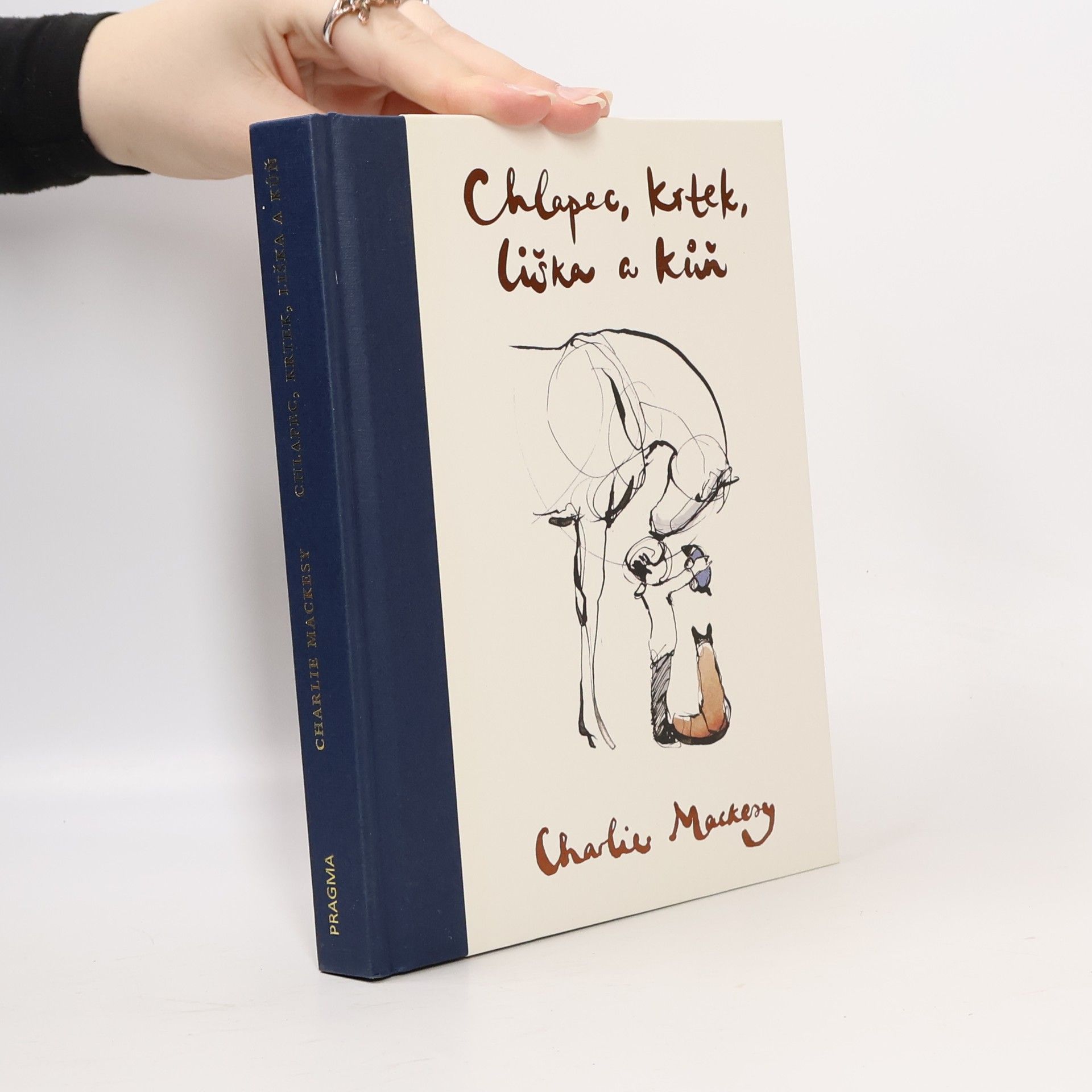 Charlie Mackesy Chlapec, krtek, liška a kůň