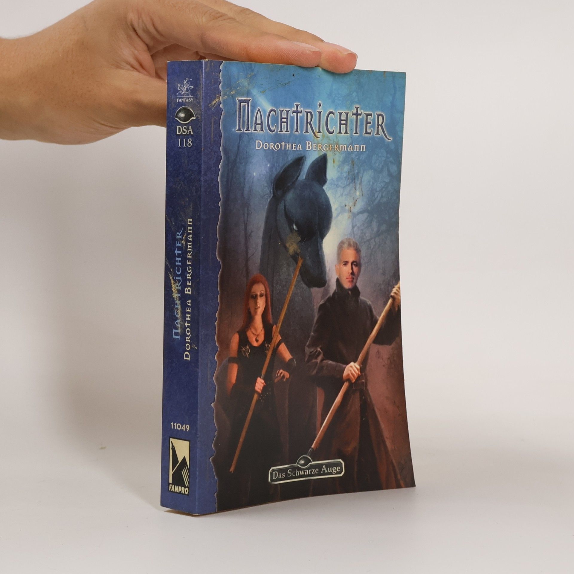 Das Schwarze Auge - 118: Nachtrichter