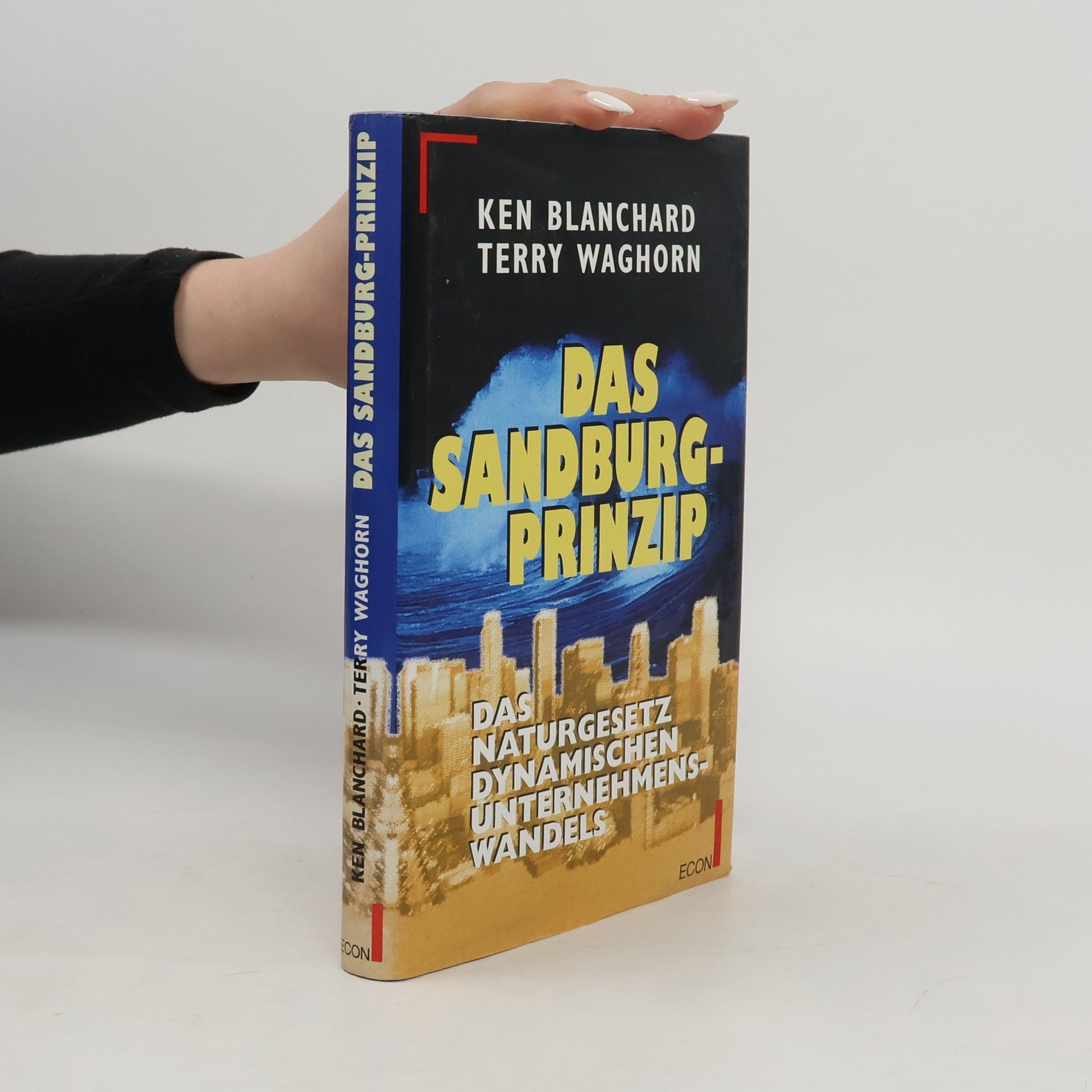 Kenneth Blanchard Das Sandburg-Prinzip