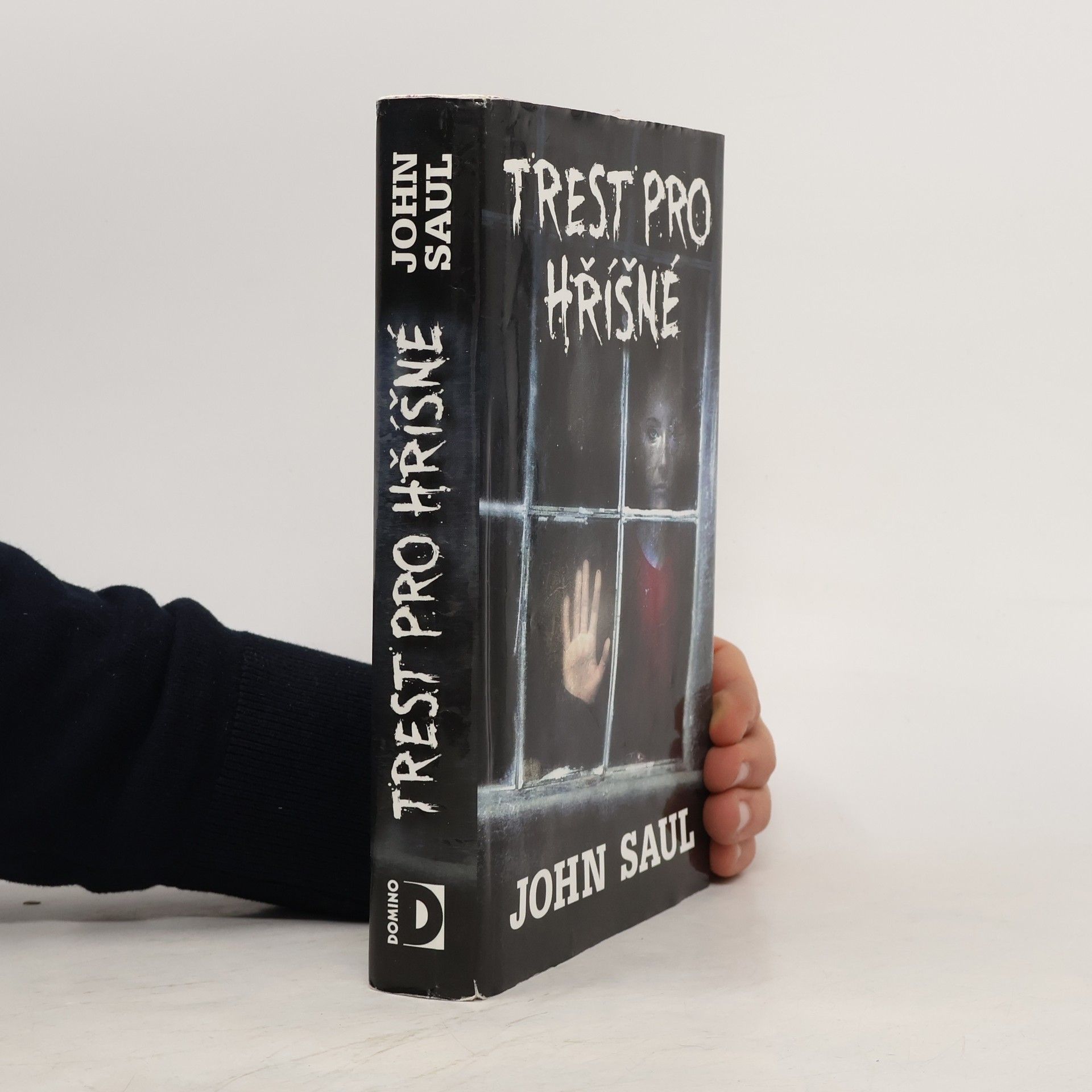 John Saul Trest pro hříšné