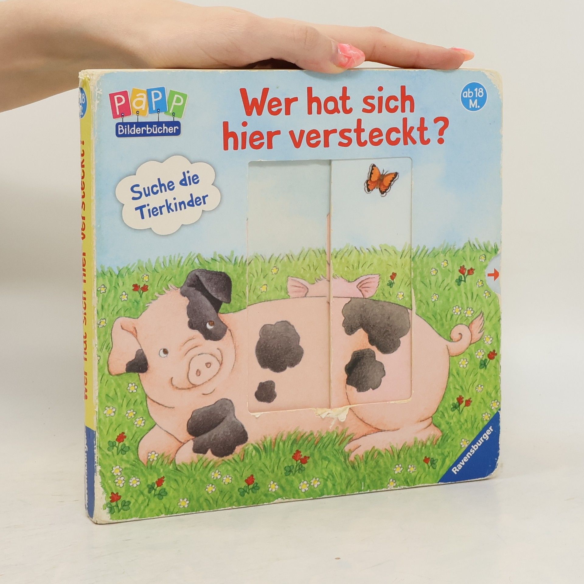 Autorenkollektiv Wer hat sich hier versteckt