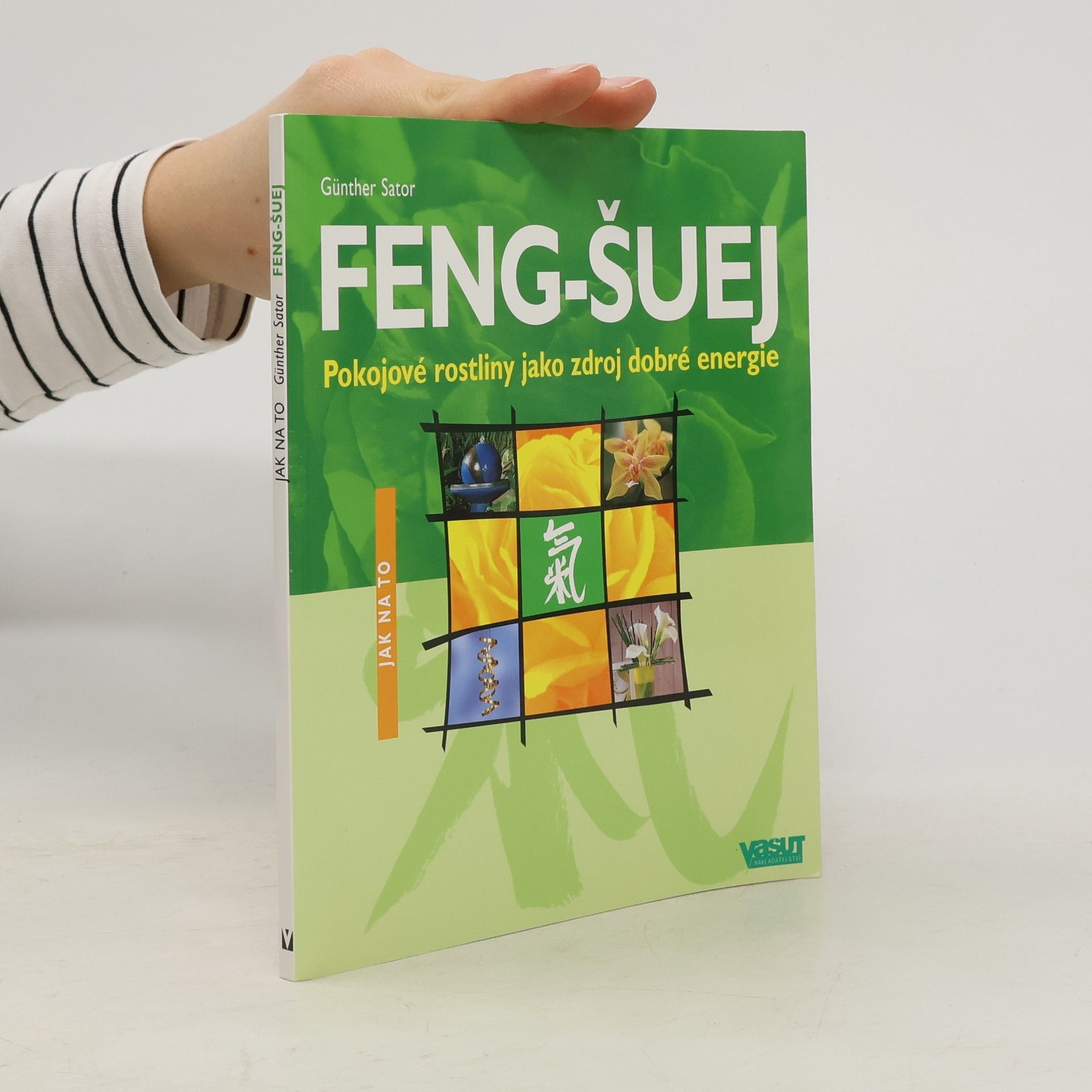 Feng-šuej : pokojové rostliny jako zdroj dobré energie