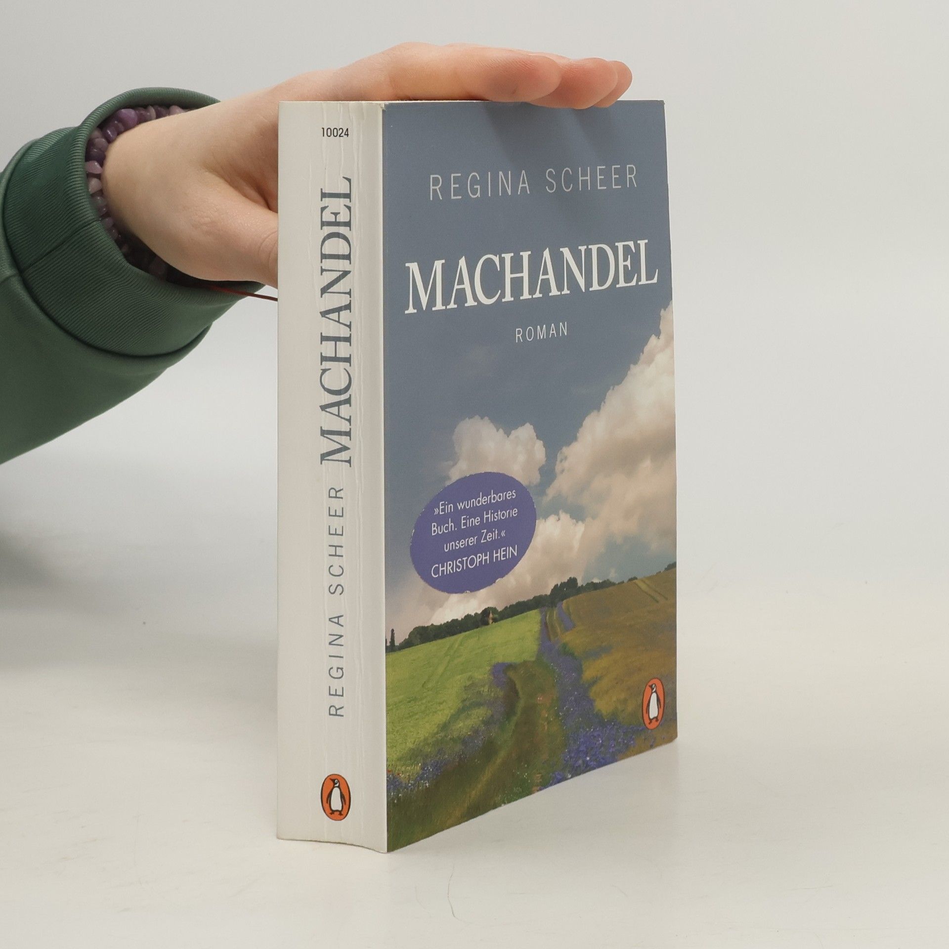 Regina Scheer Machandel