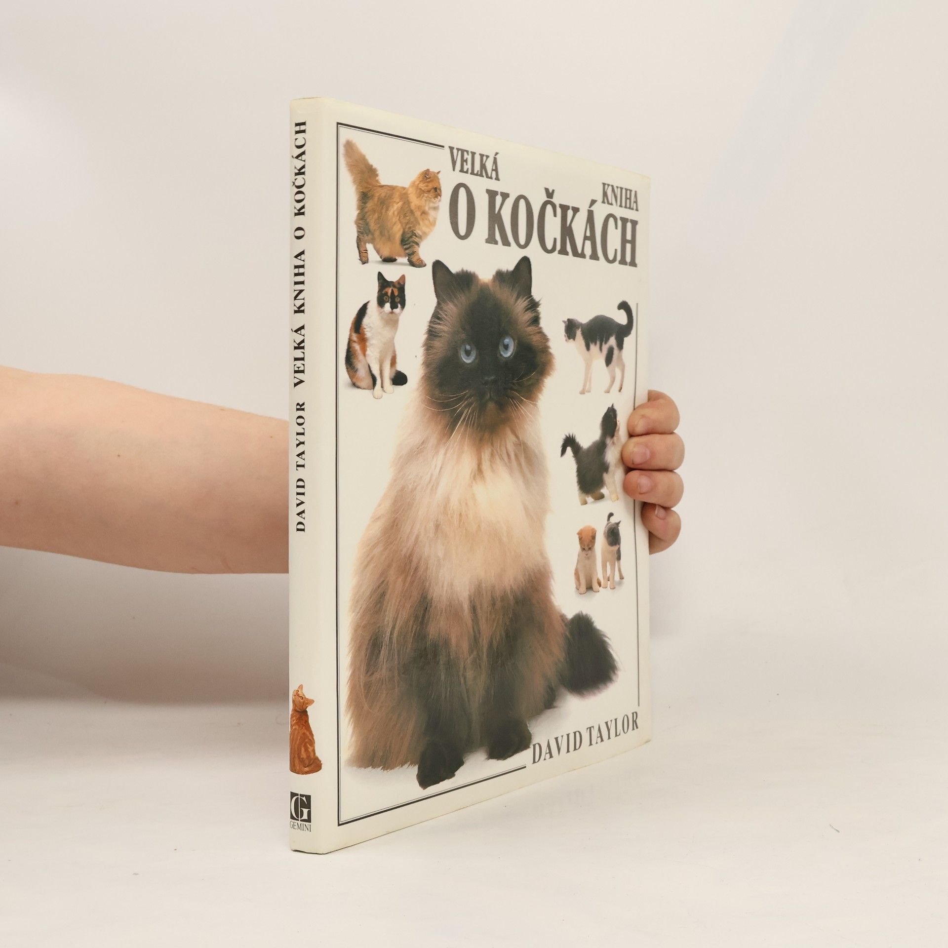 David Conrad Taylor Velká kniha o kočkách