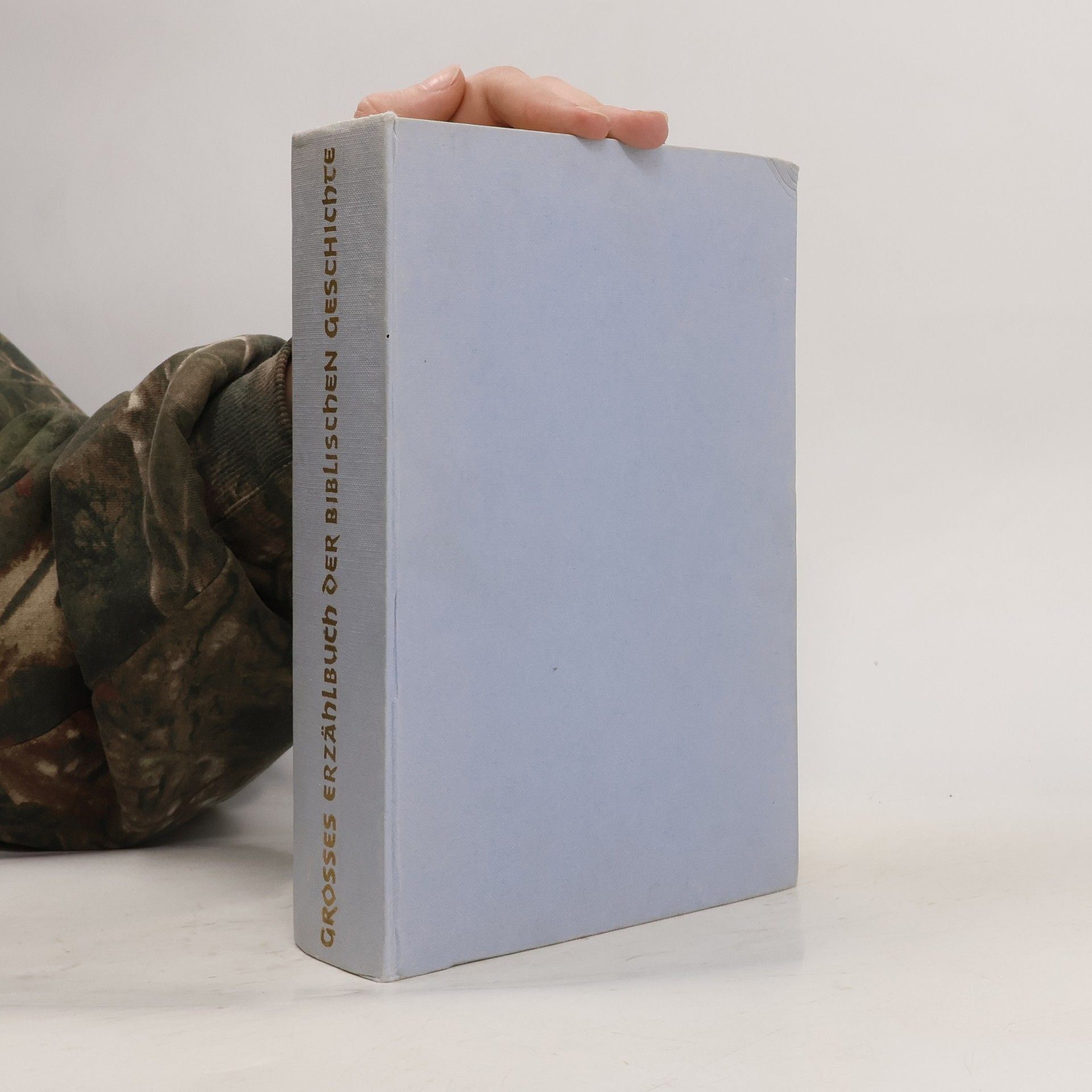 Großes Erzählbuch der biblischen Geschichte