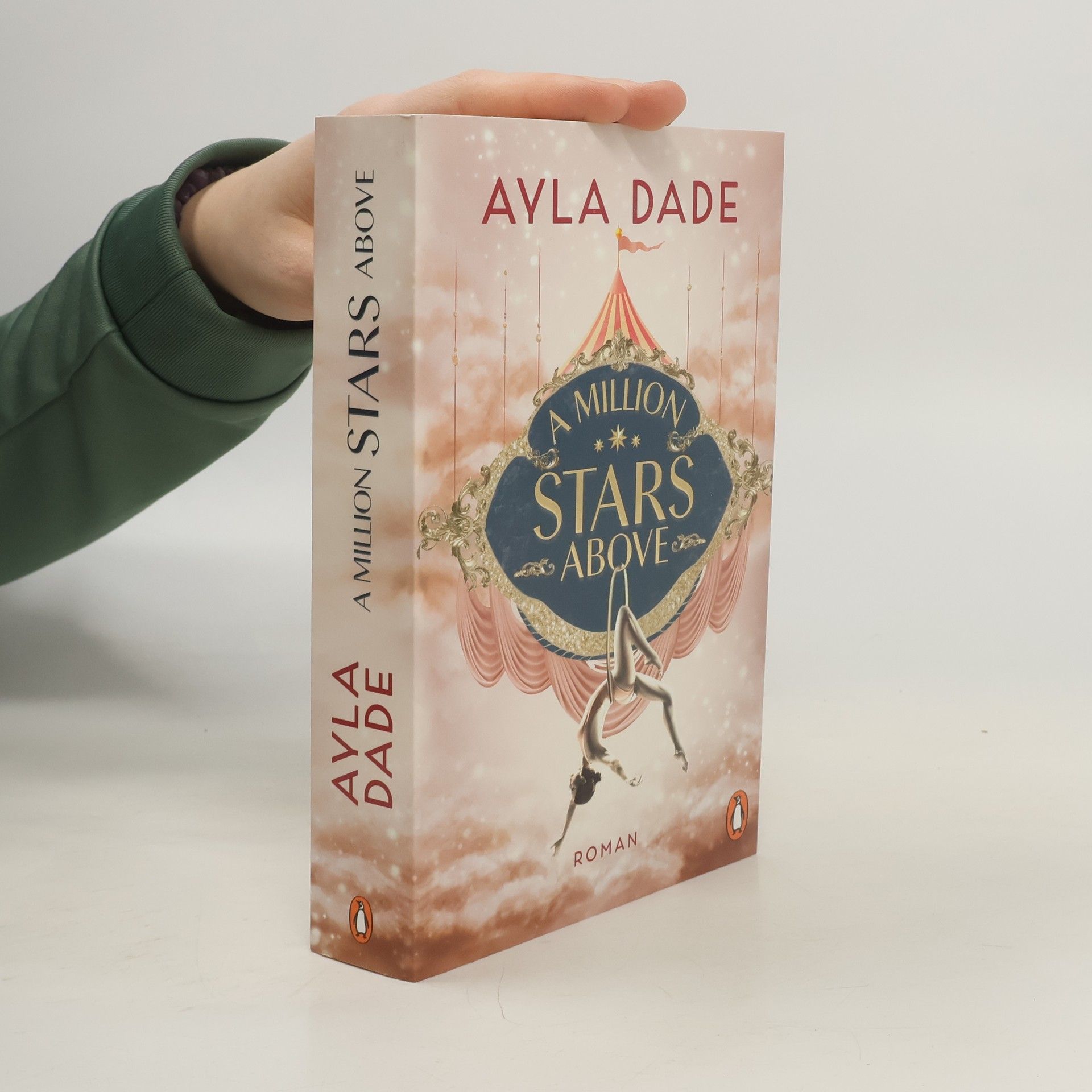 Ayla Dade A Million Stars Above / Sky Circus Bd.1