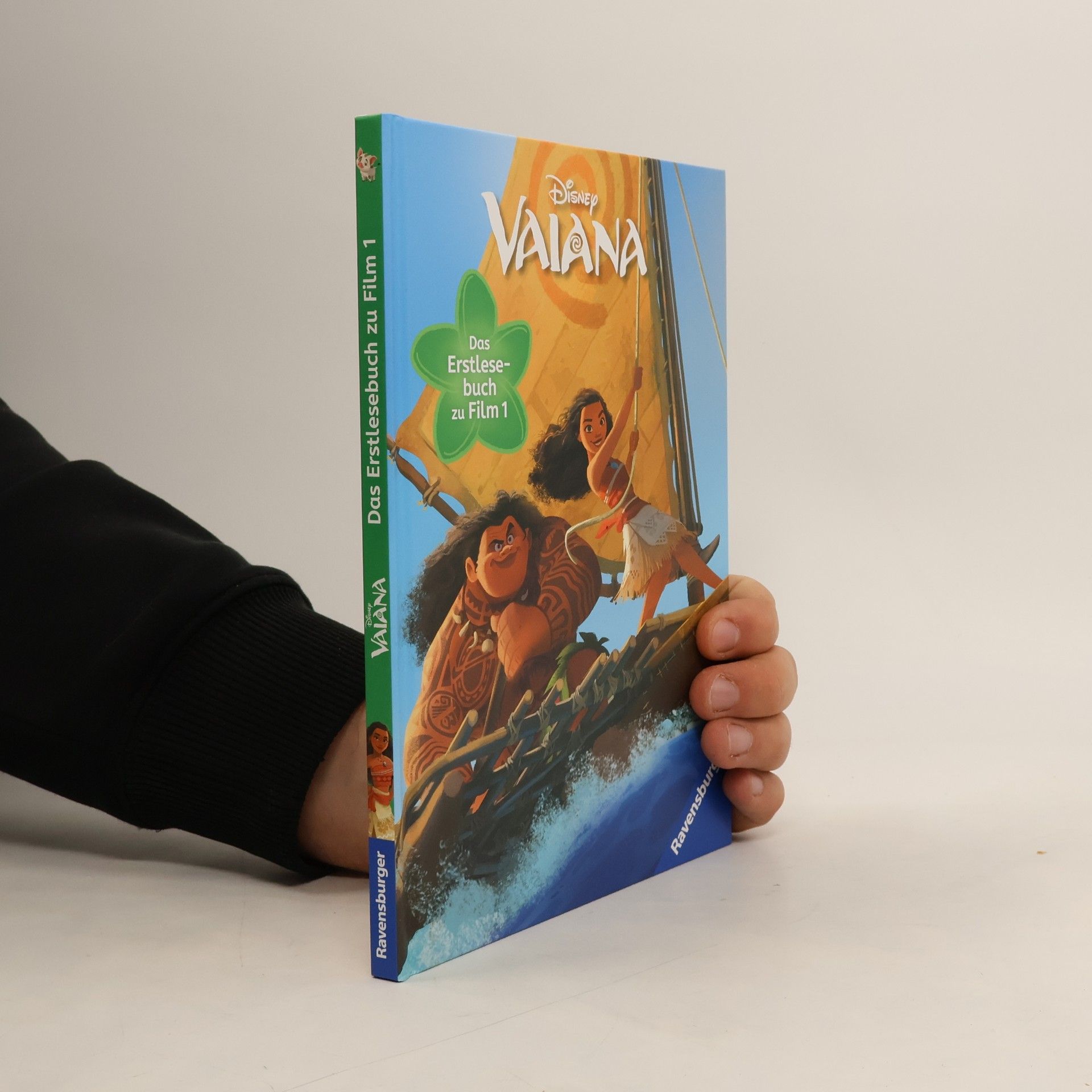 Various authors Disney Vaiana