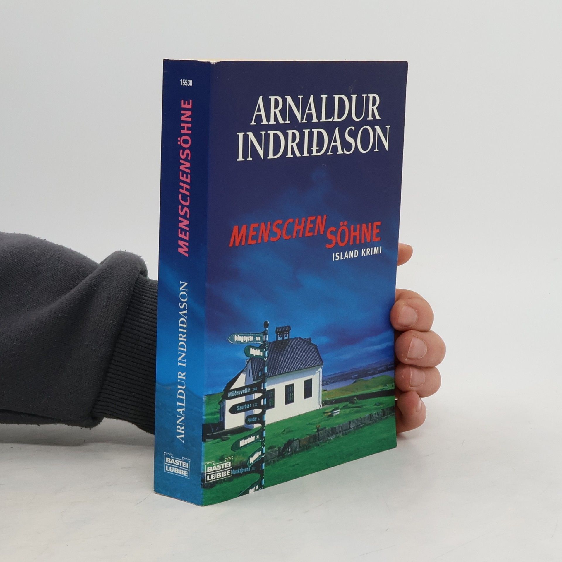 Arnaldur Indriðason Menschensöhne