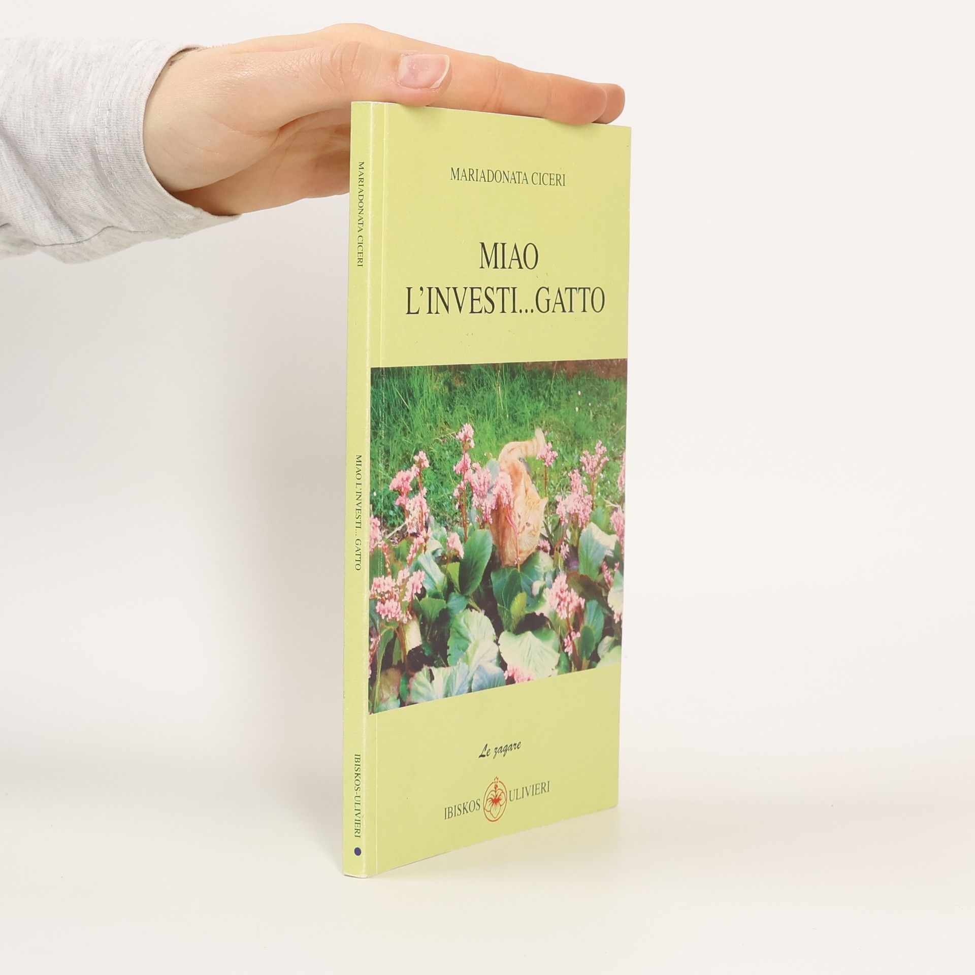 Mariadonata Ciceri Miao l'investi... gatto