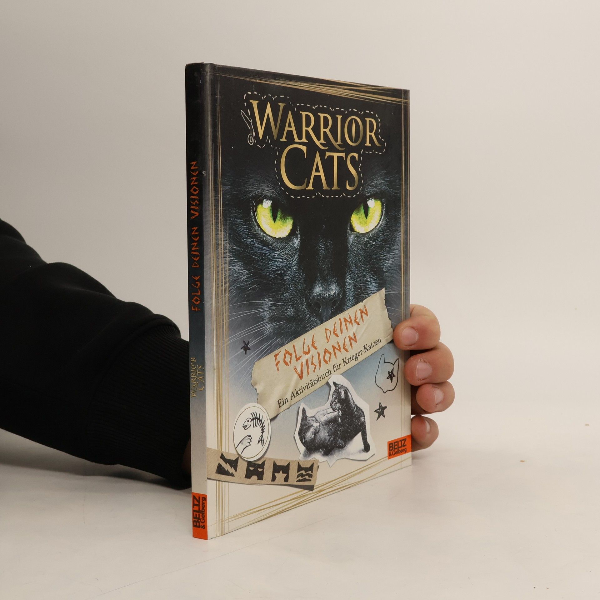 Erin Hunter Warrior Cats - Folge deinen Visionen