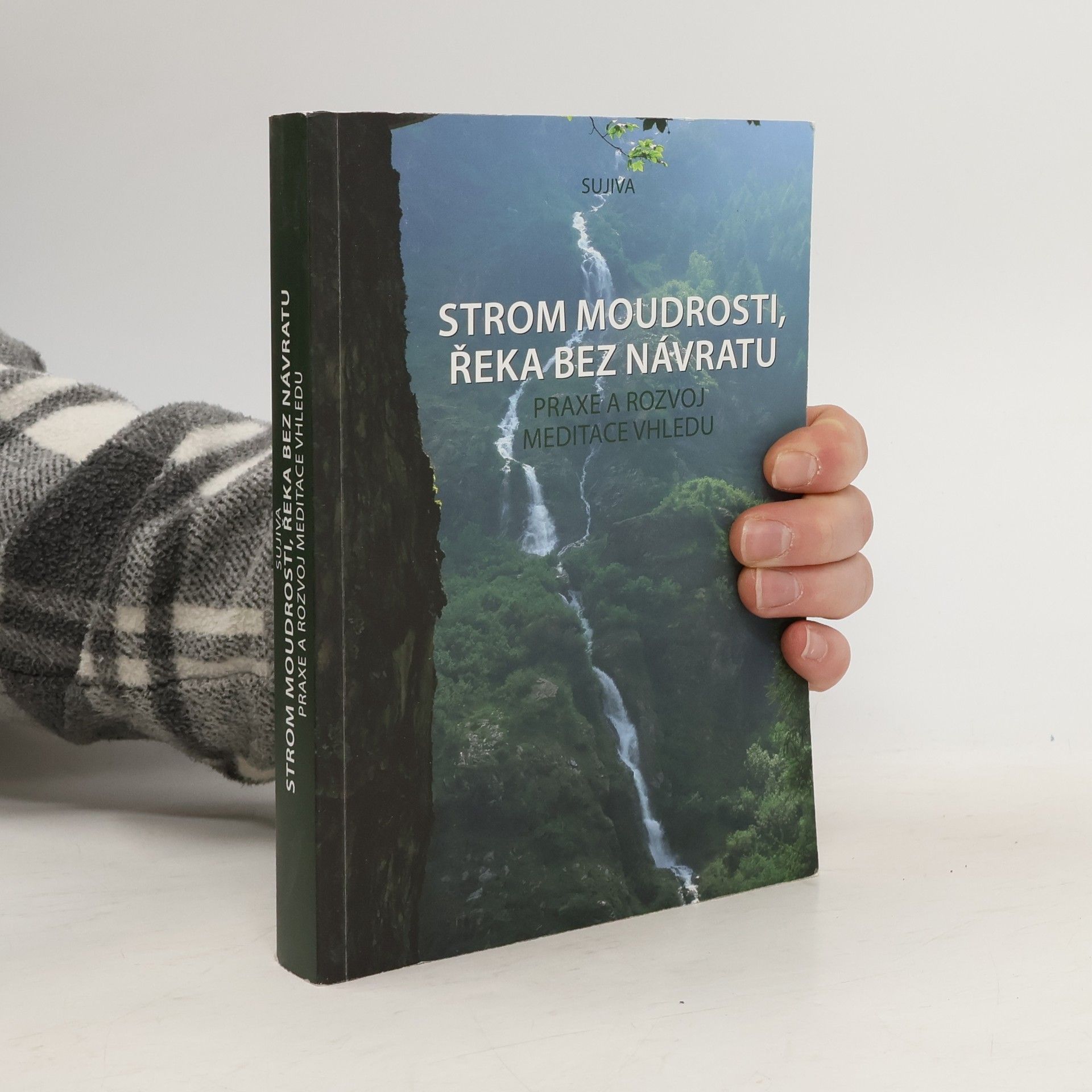 Kolektiv autorů Strom moudrosti, řeka bez návratu