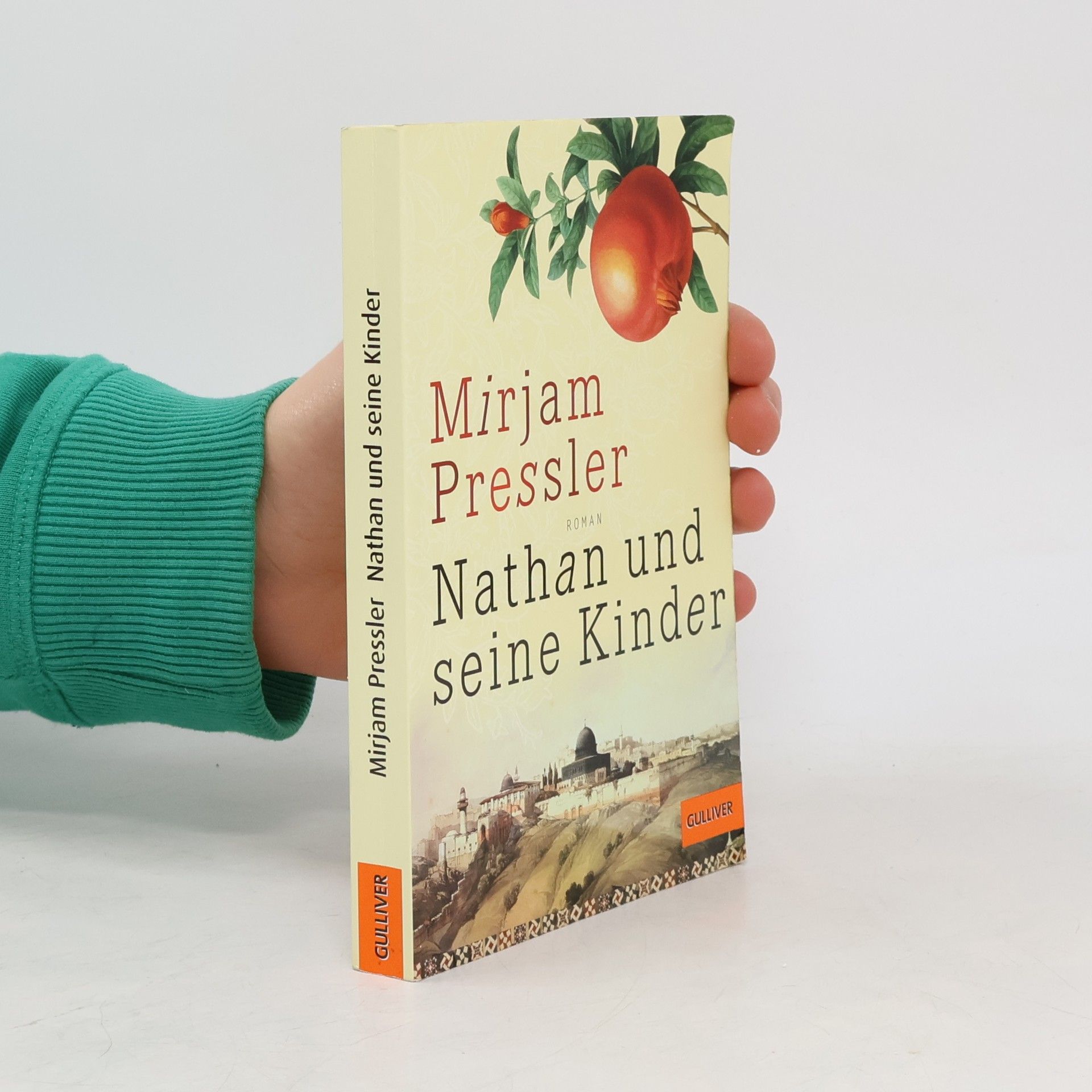 Mirjam Pressler Nathan und seine Kinder
