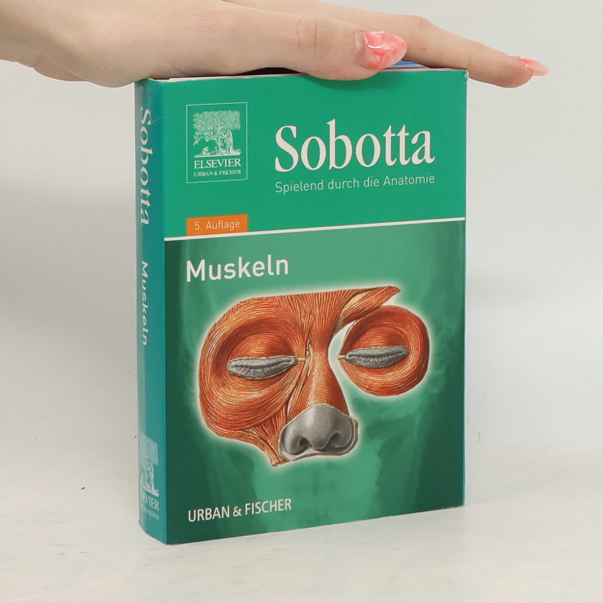 Johannes Sobotta Sobotta - 2: Spielend durch die Anatomie