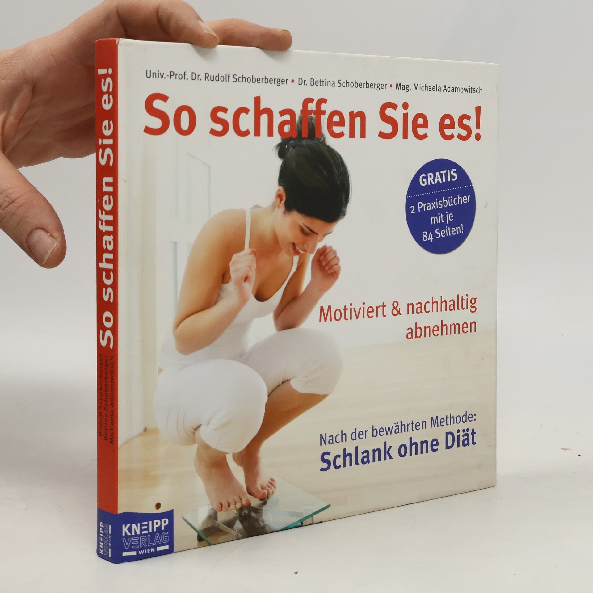 Rudolf Schoberberger So schaffen Sie es!