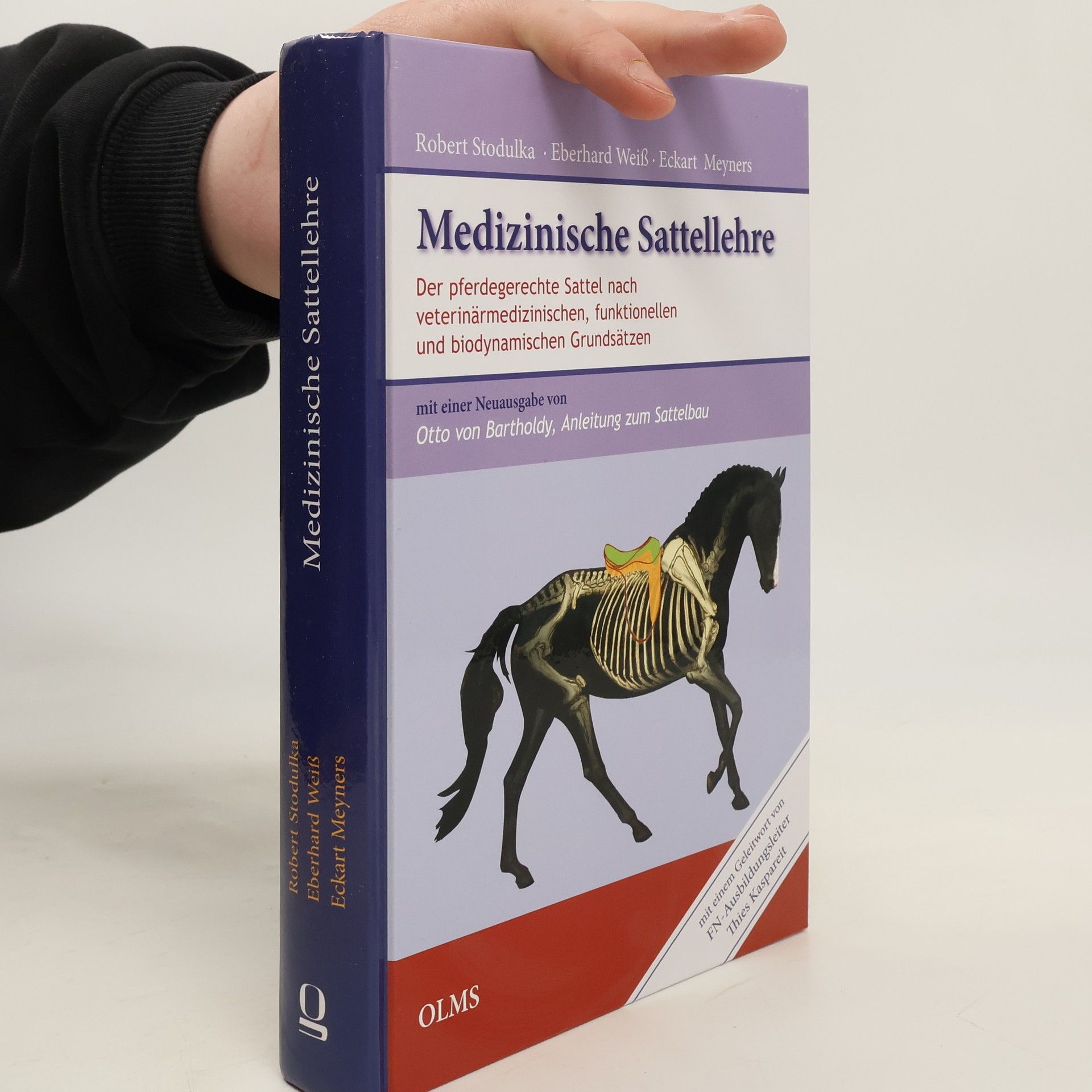 Medizinische Sattellehre