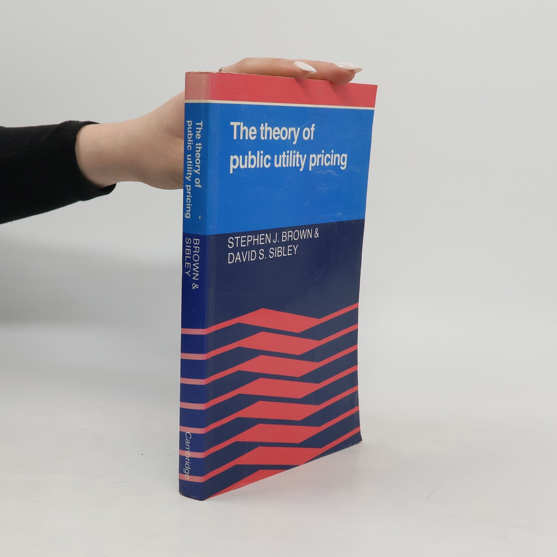 The Theory of Public Utility Pricing