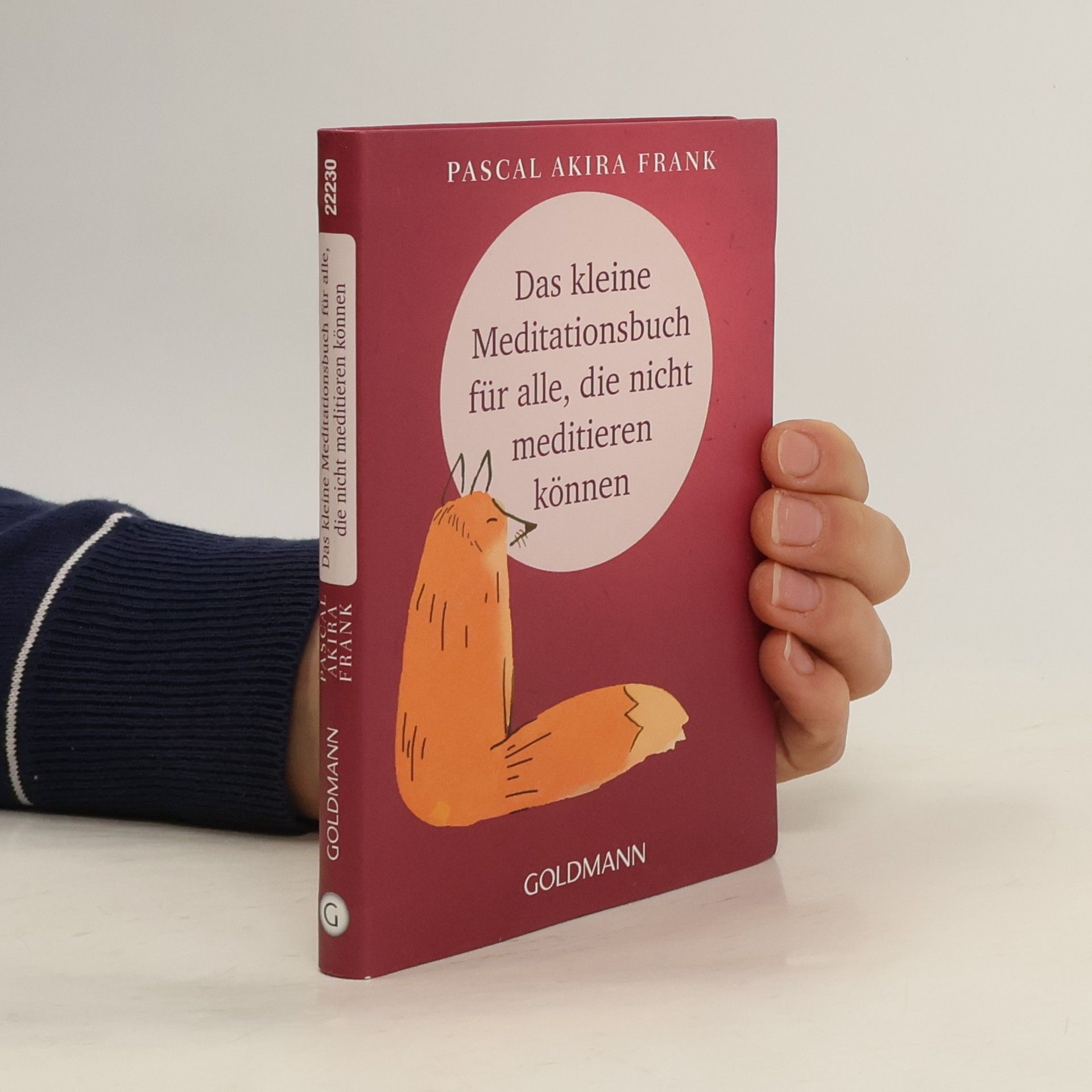Pascal Akira Frank Das kleine Meditationsbuch für alle, die nicht meditieren können