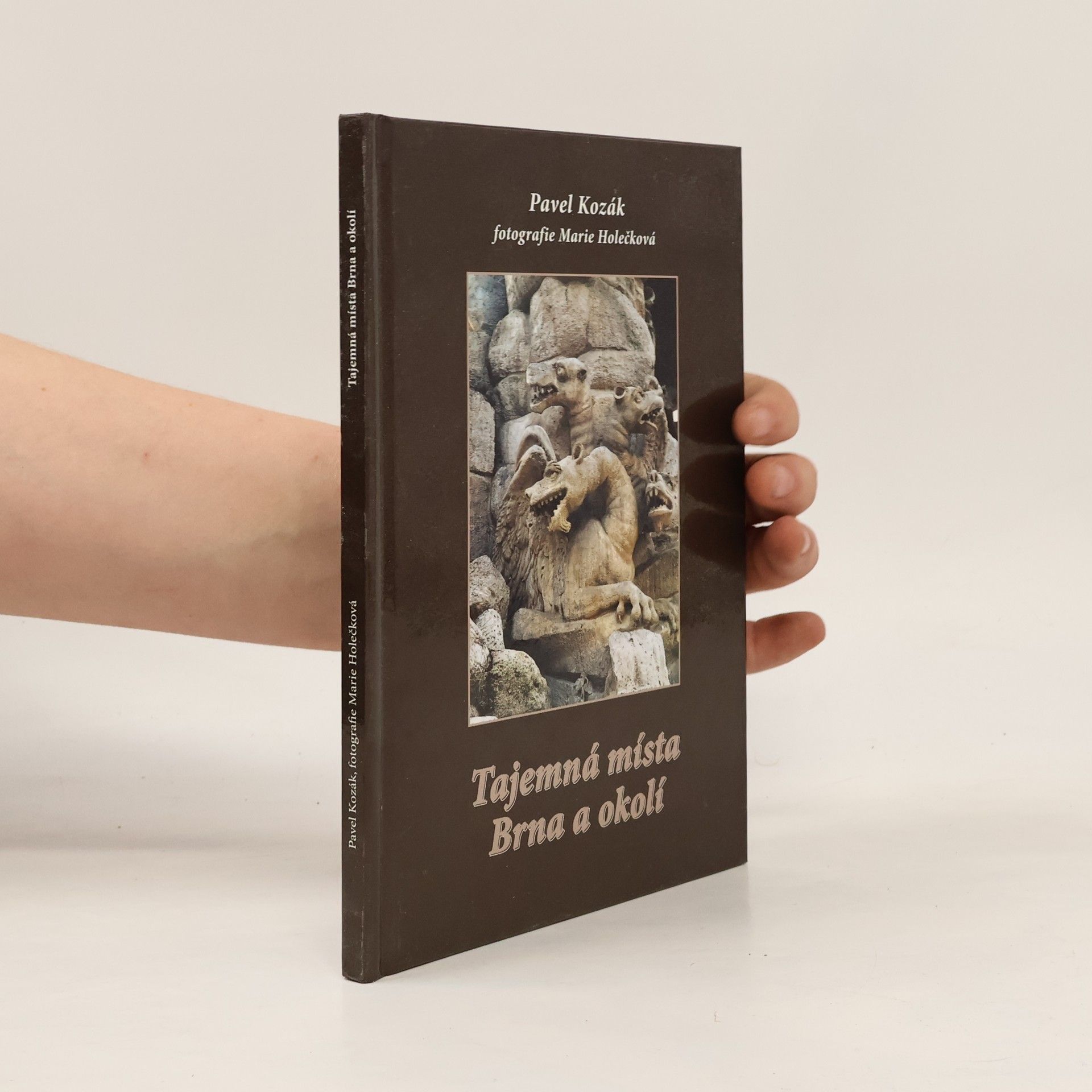 Pavel Kozák Tajemná místa Brna a okolí