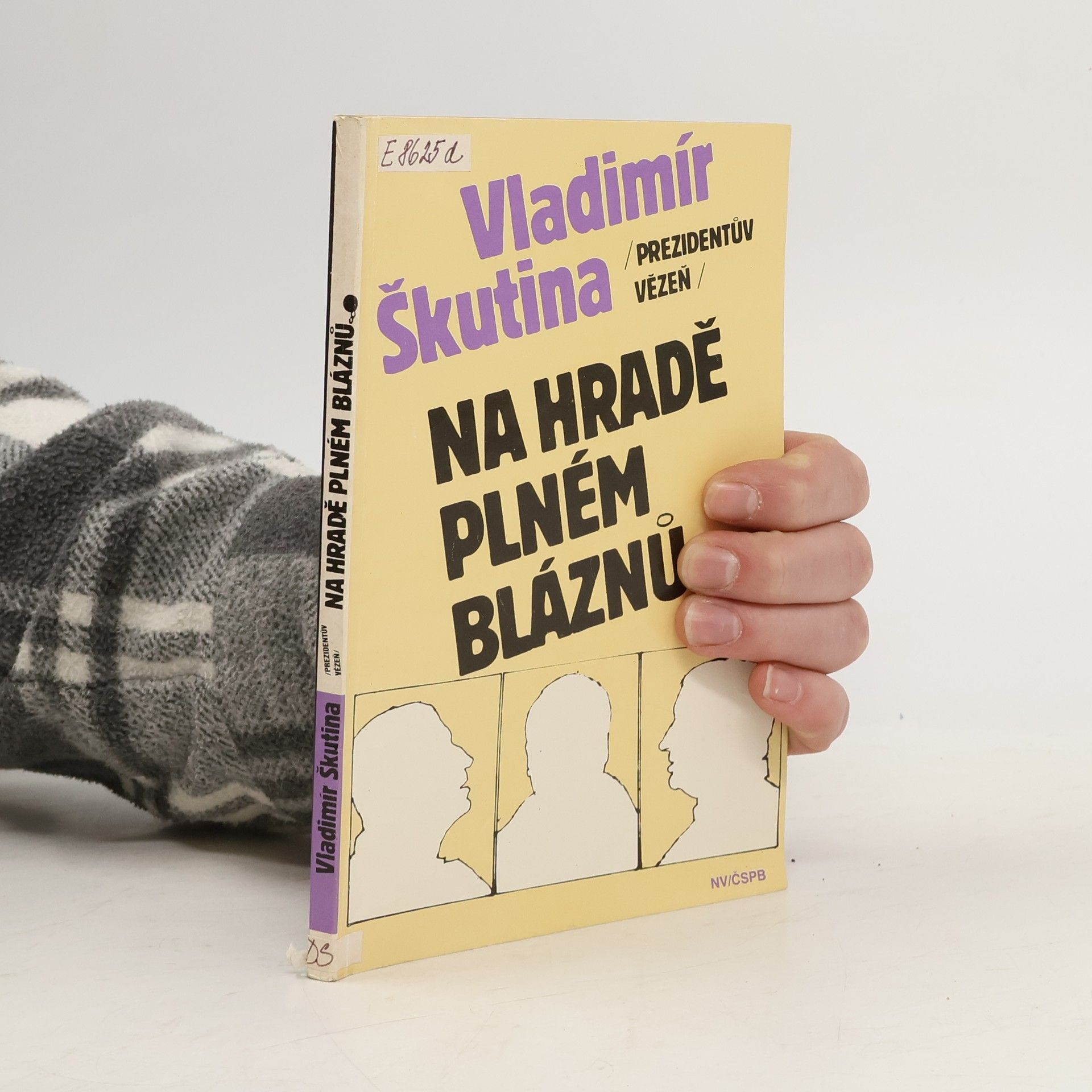 Vladimír Škutina Na hradě plném bláznů