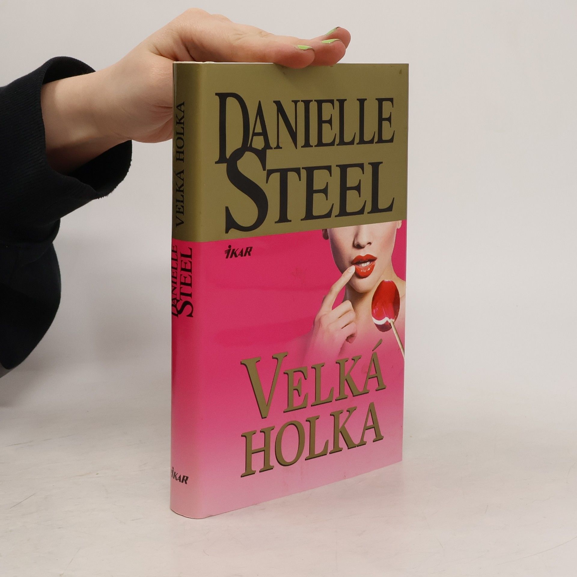 Danielle Steel Velká holka