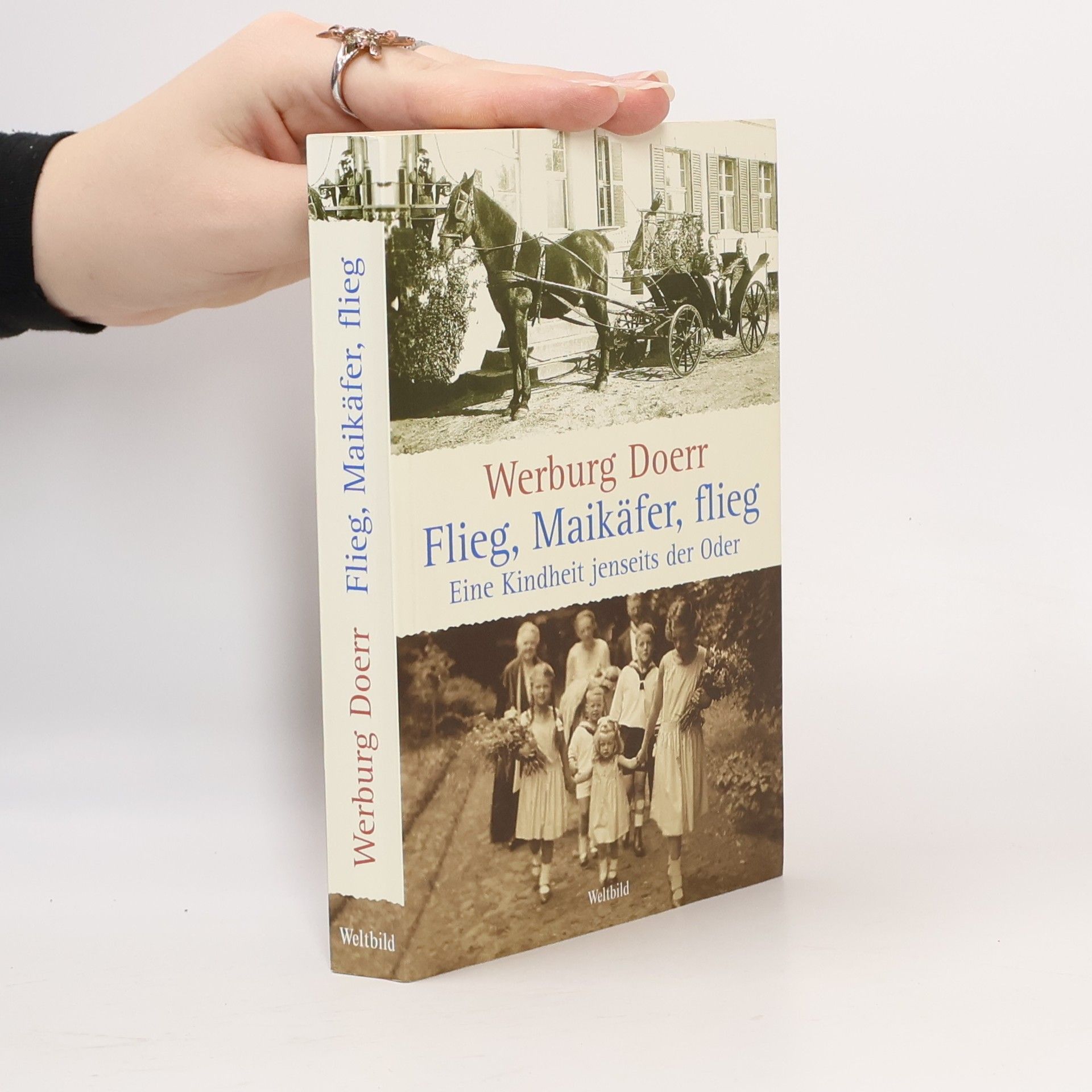 Werburg Doerr Flieg, Maikäfer, flieg