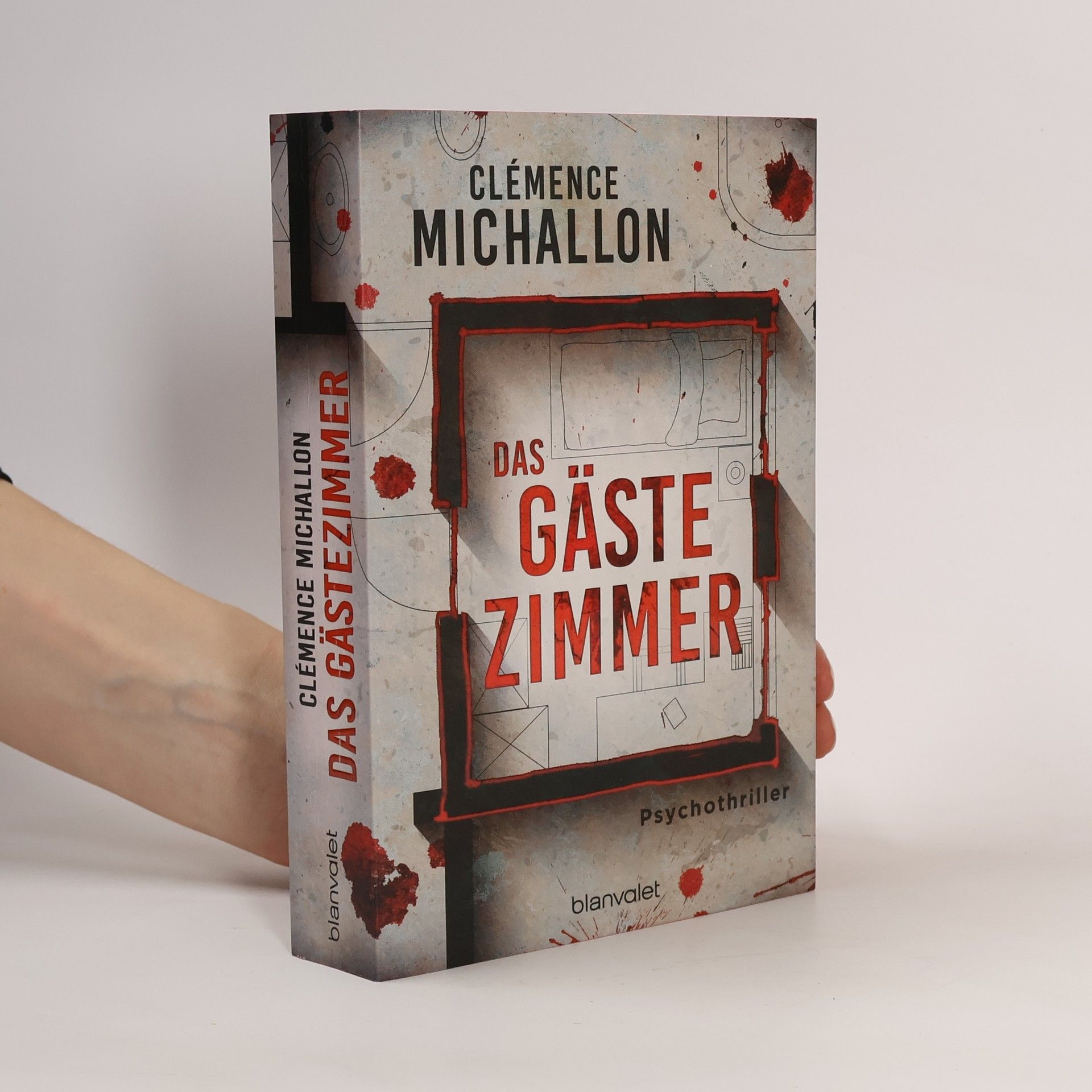 Clémence Michallon Das Gästezimmer