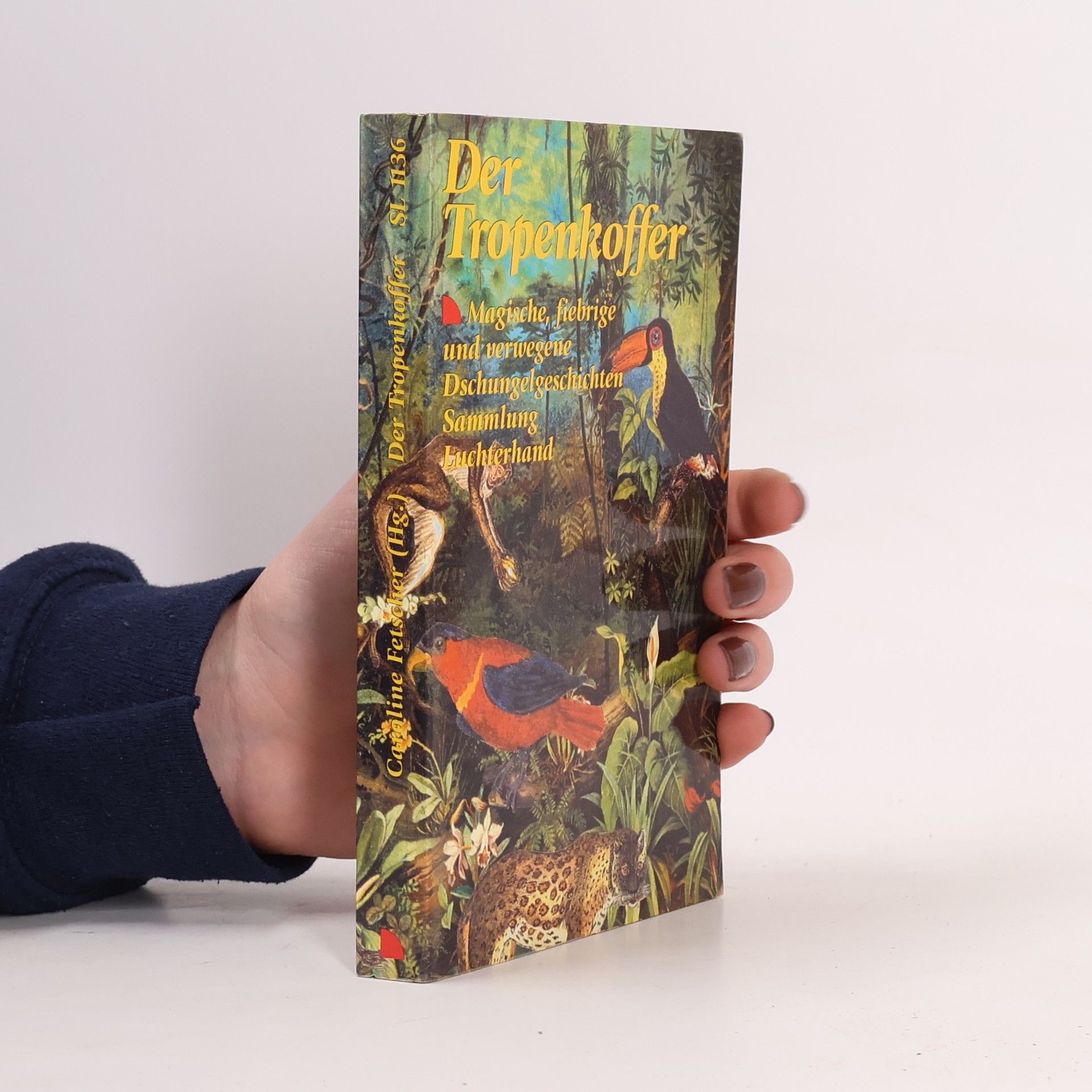 Caroline Fetscher Der Tropenkoffer