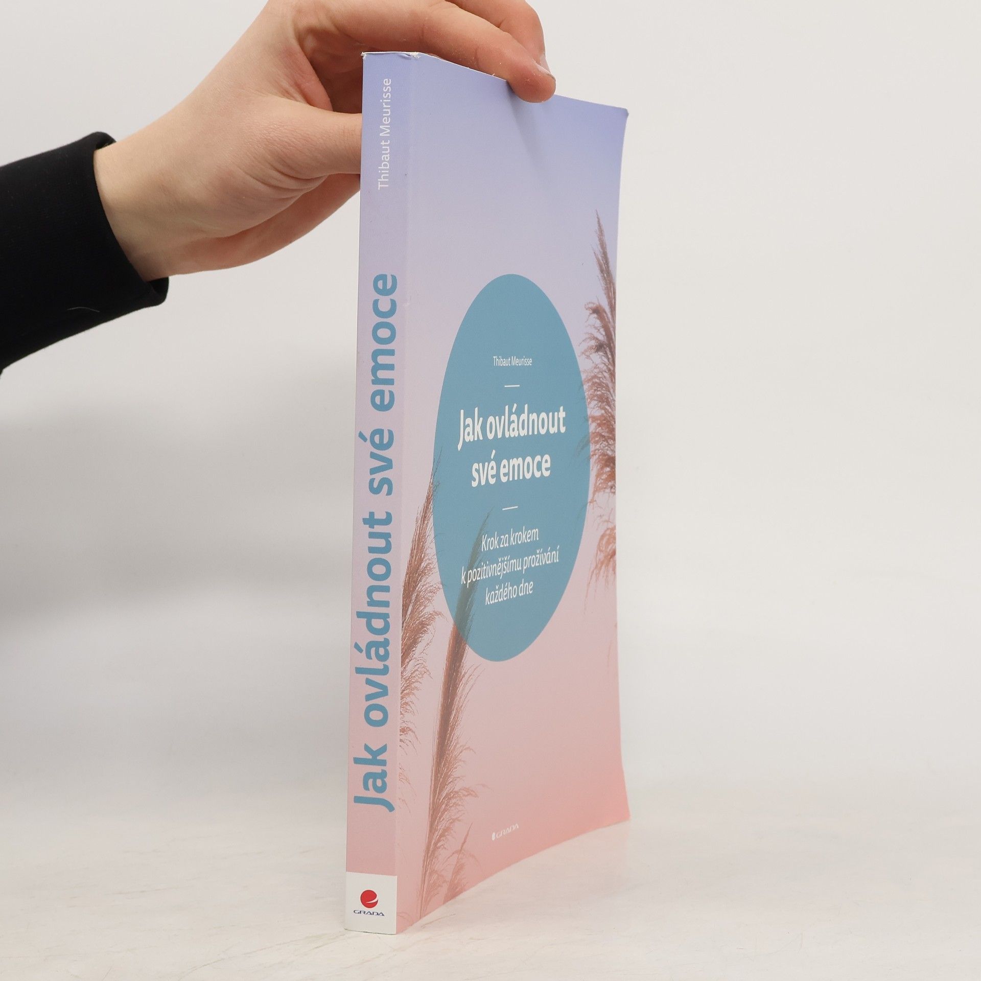 Thibaut Meurisse Jak ovládnout své emoce : krok za krokem k pozitivnějšímu prožívání každého dne