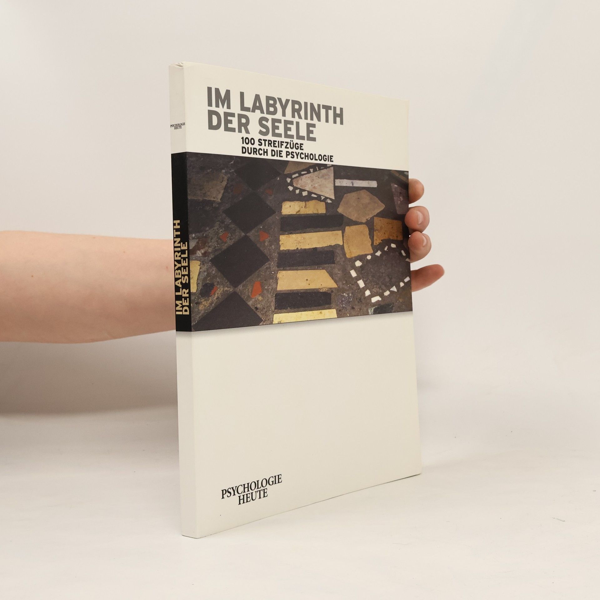 Autorenkollektiv Im Labyrinth der Seele