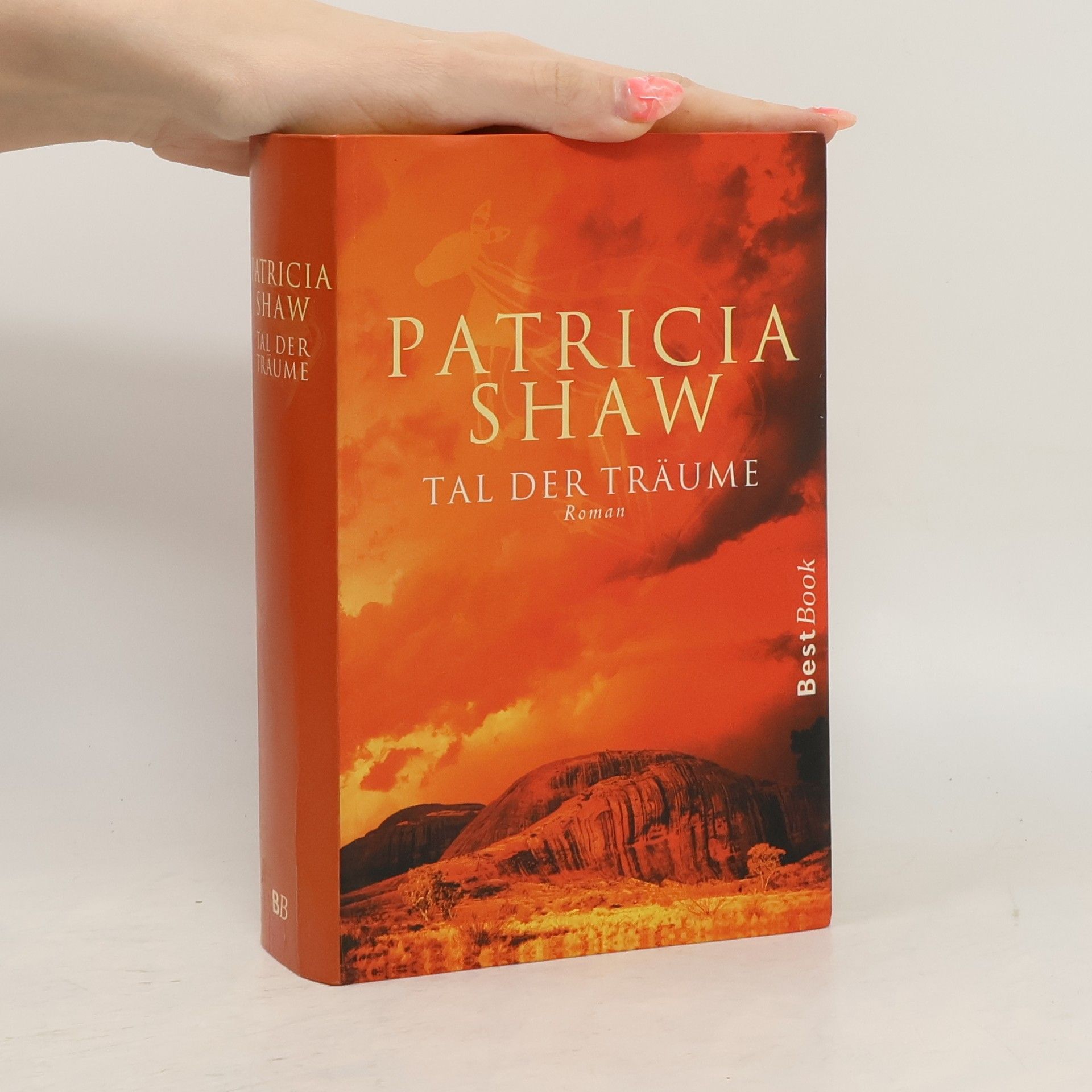 Patricia Shaw Tal der Träume