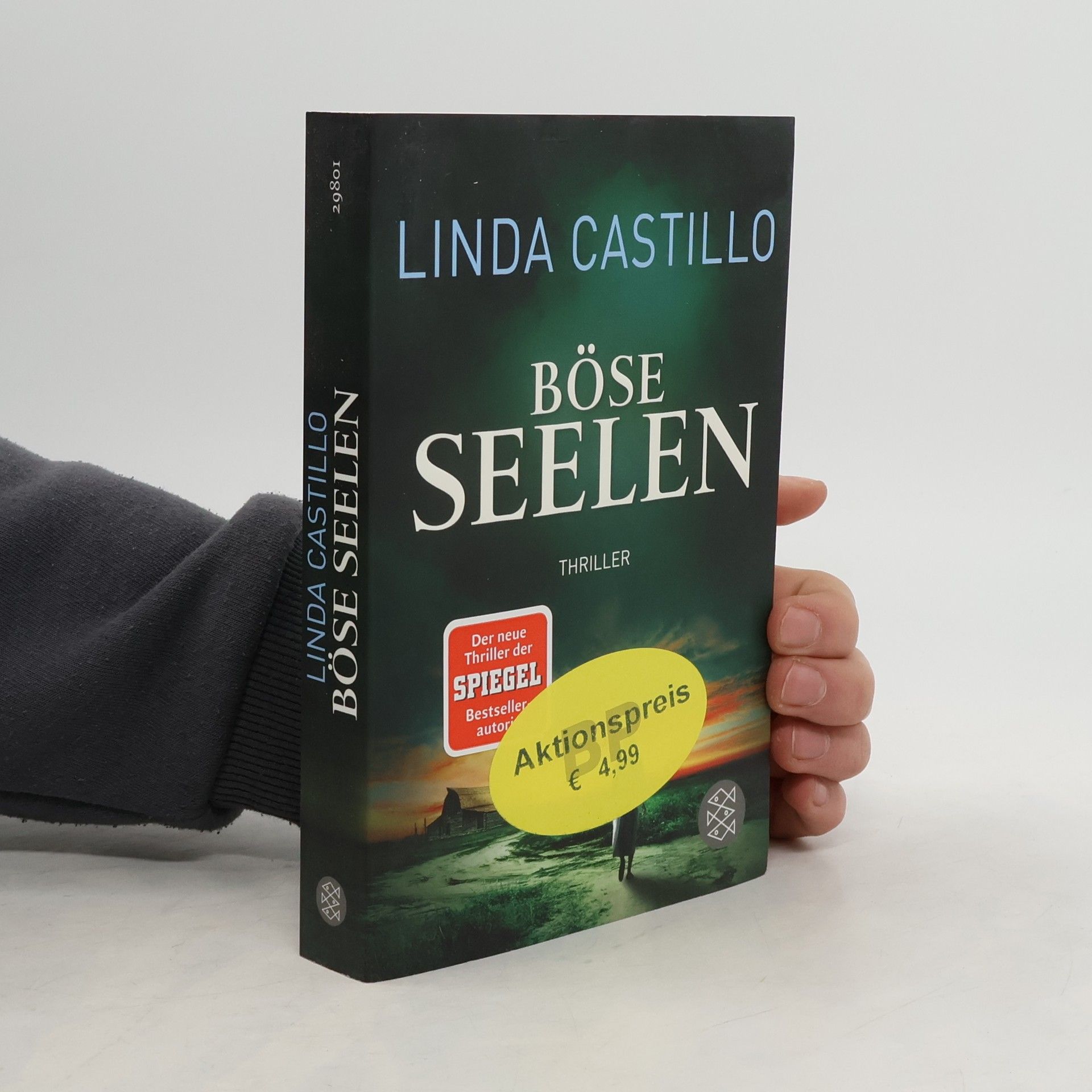 Linda Castillo Böse Seelen