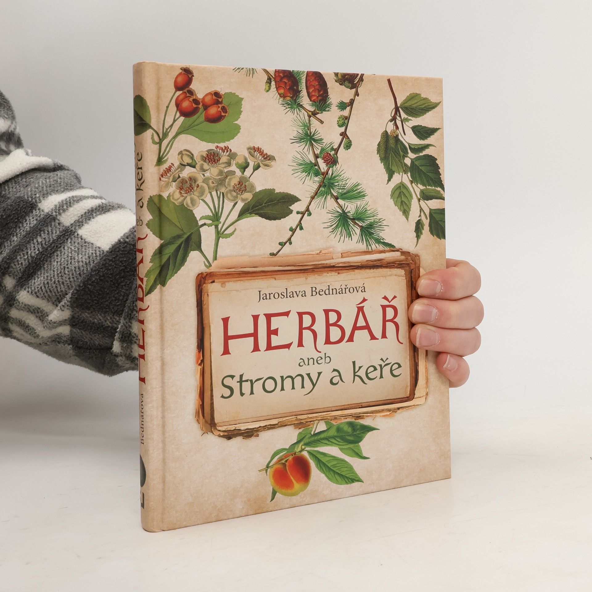 Jaroslava Bednářová Herbář aneb Stromy a keře