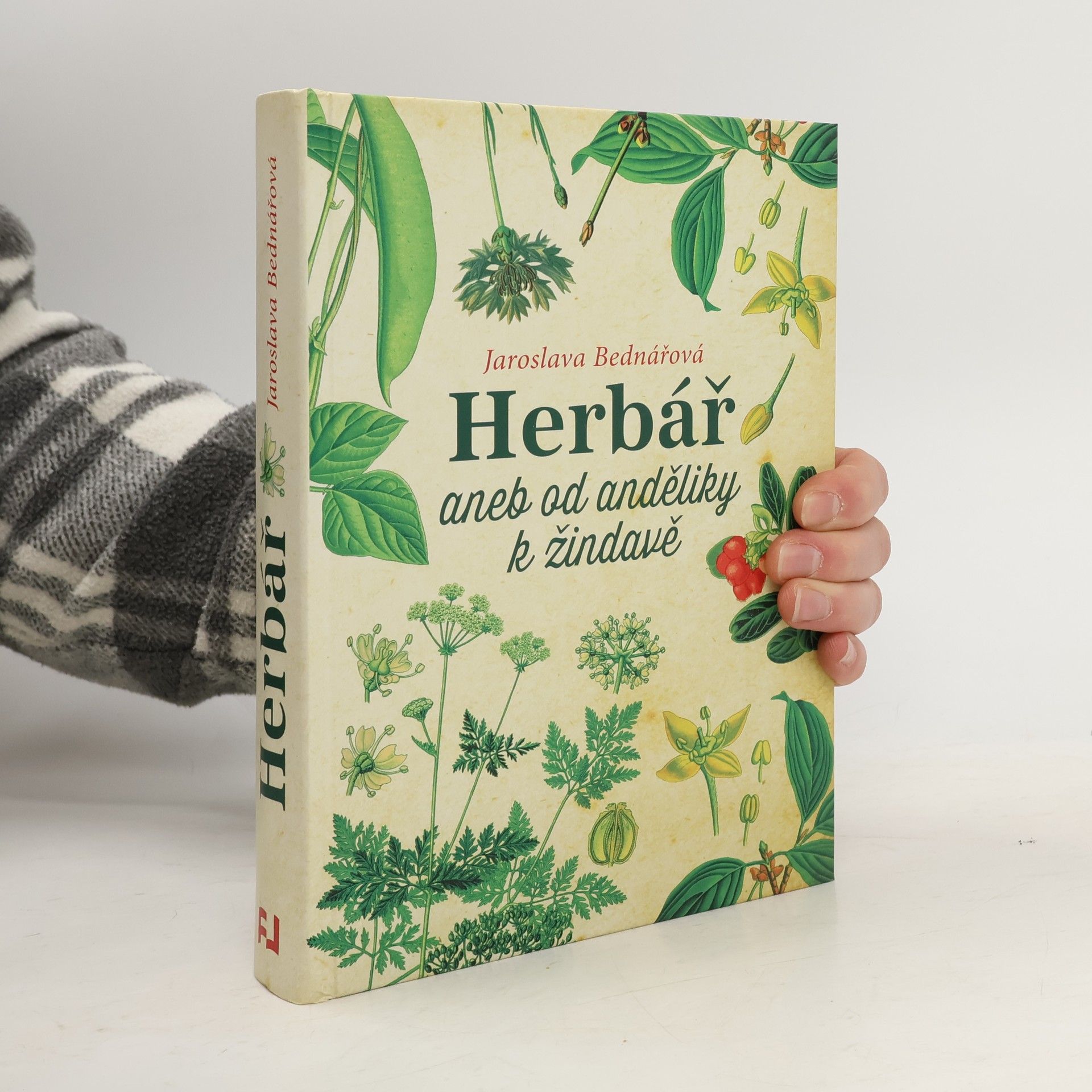 Jaroslava Bednářová Herbář, aneb, Od anděliky k žindavě