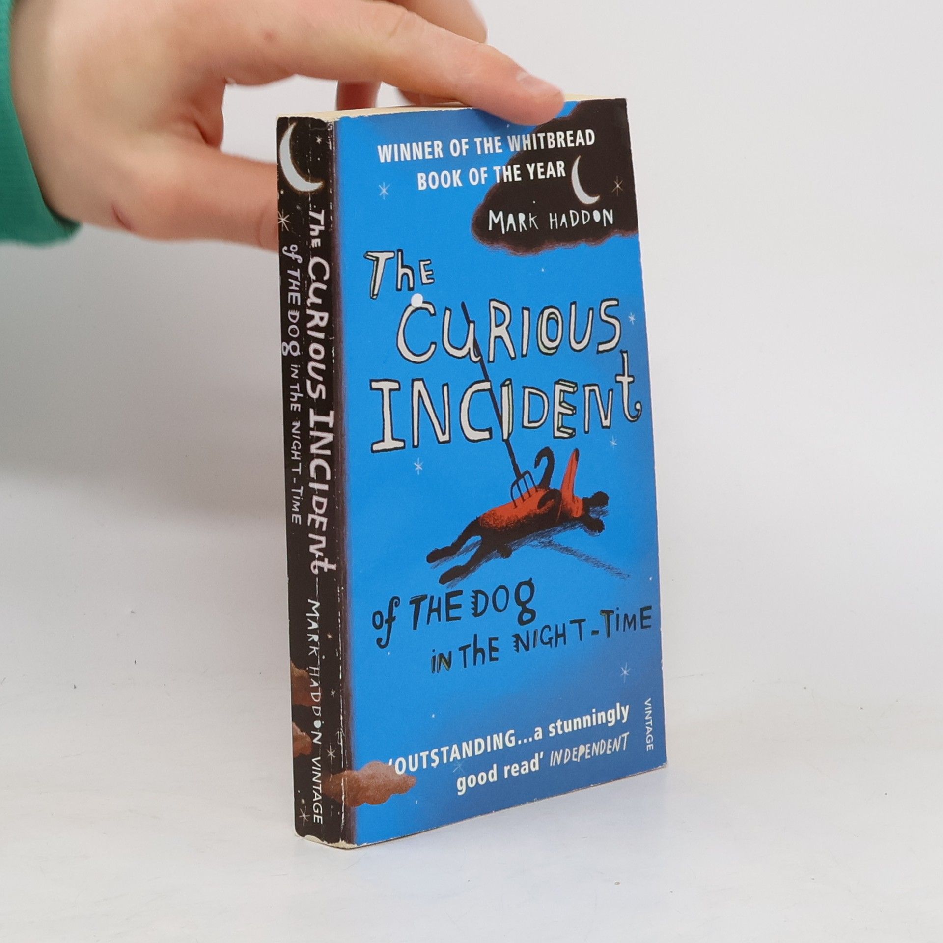 Mark Haddon The Curious Incident of The Dog in The Night-Time