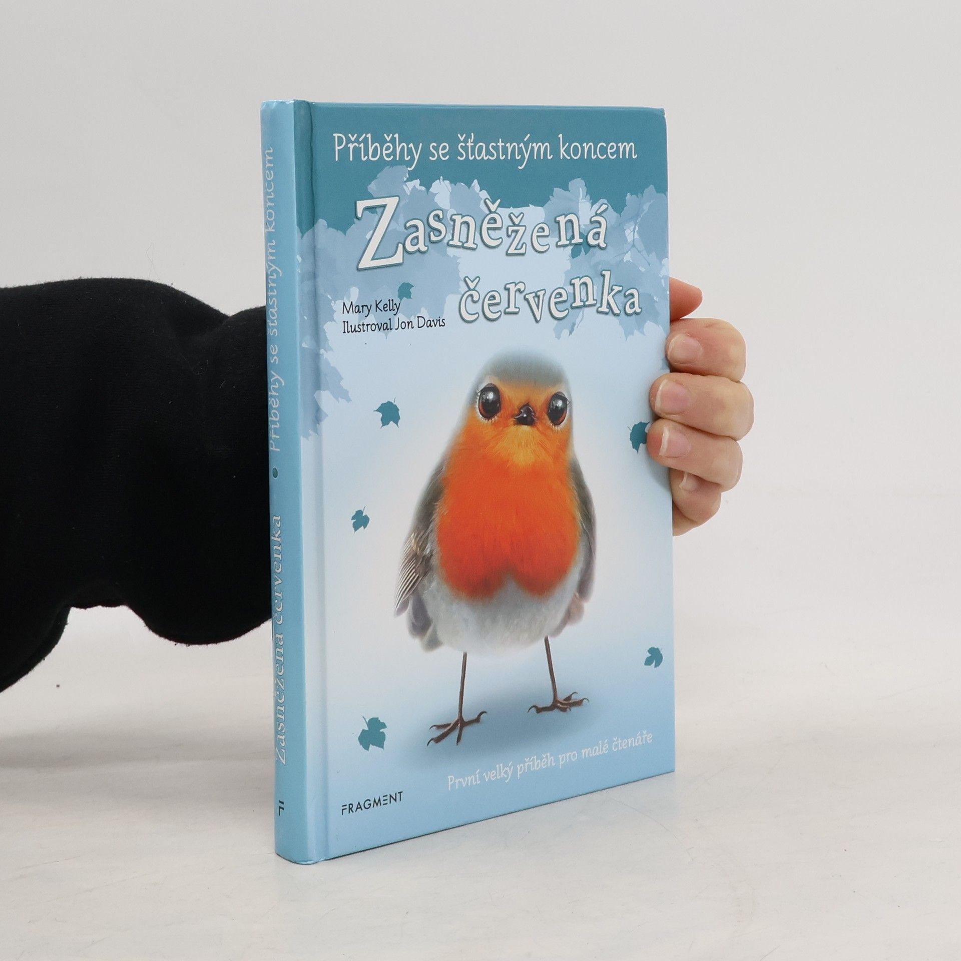 Mary Kelly Zasněžená červenka