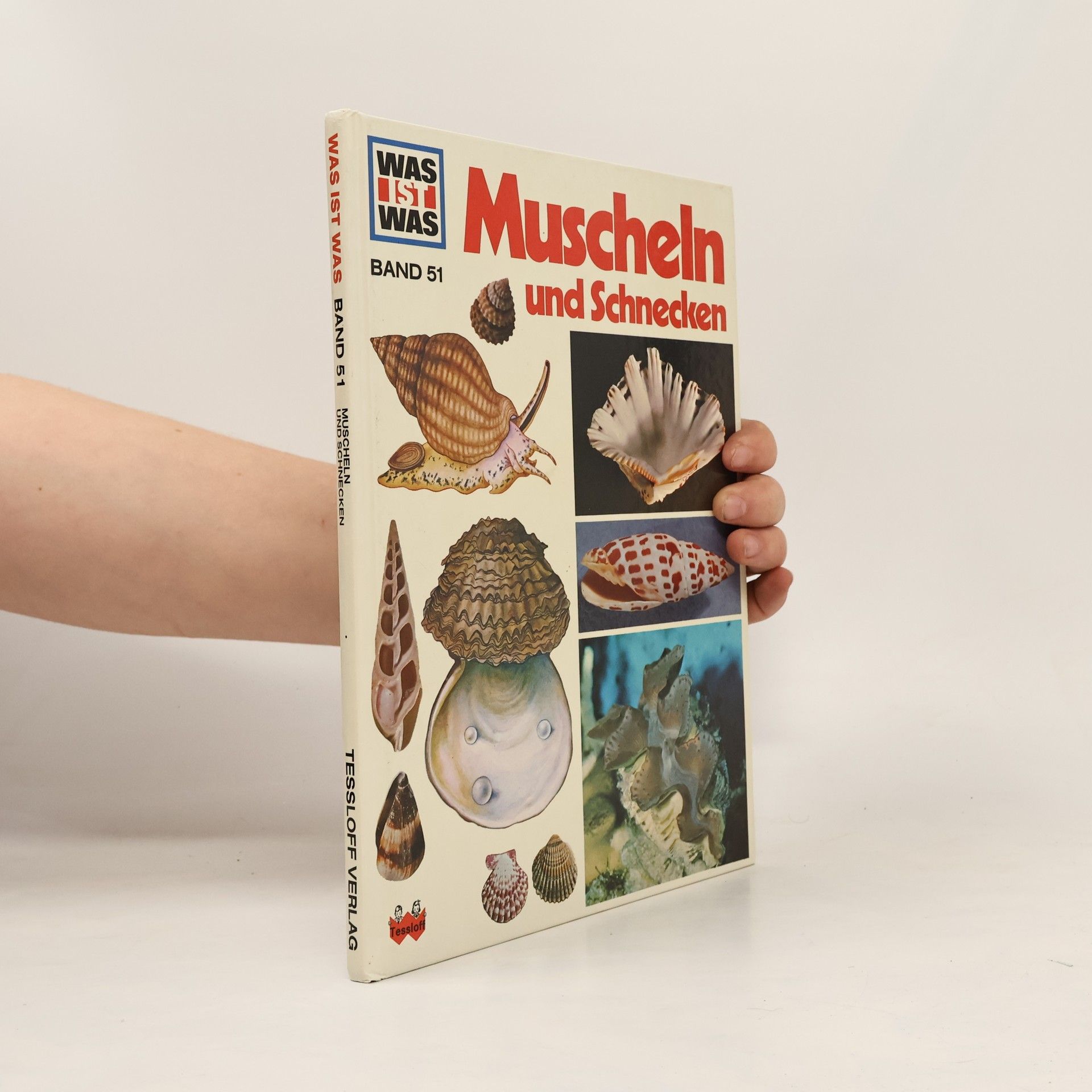 Walter Hähnel Muscheln und Schnecken