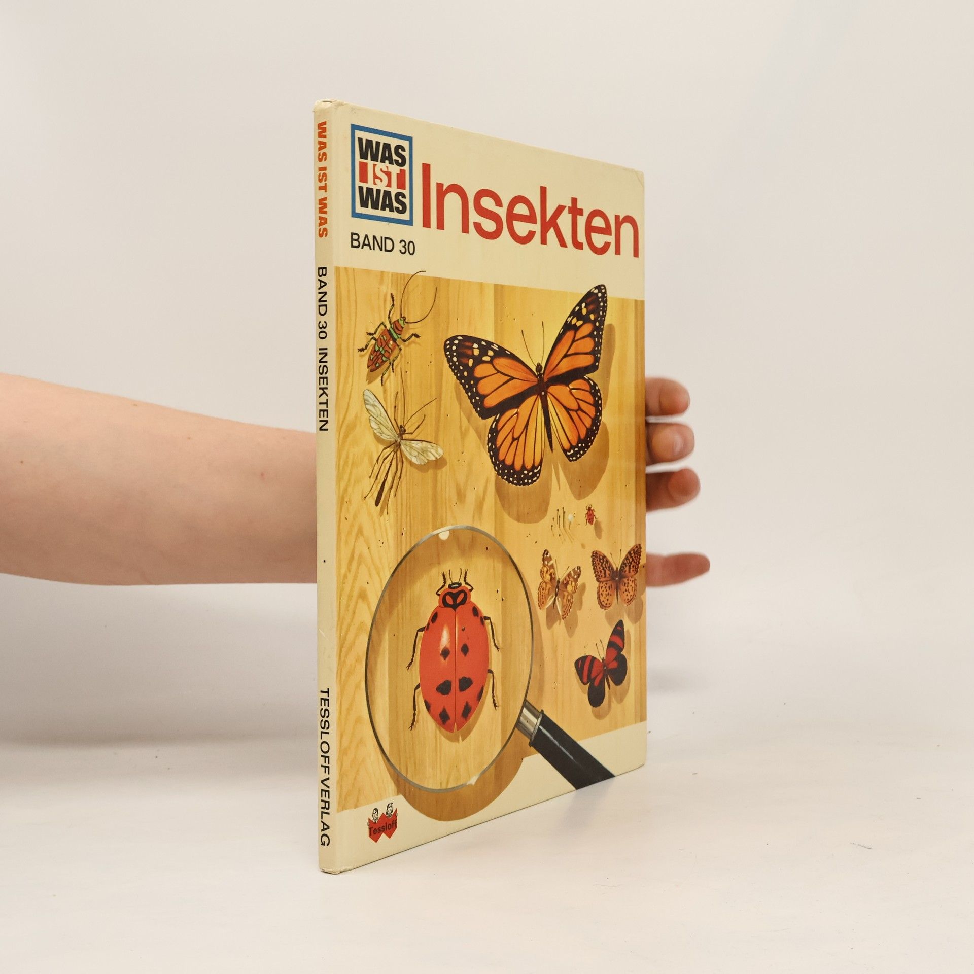 Sabine Steghaus Kovac Insekten