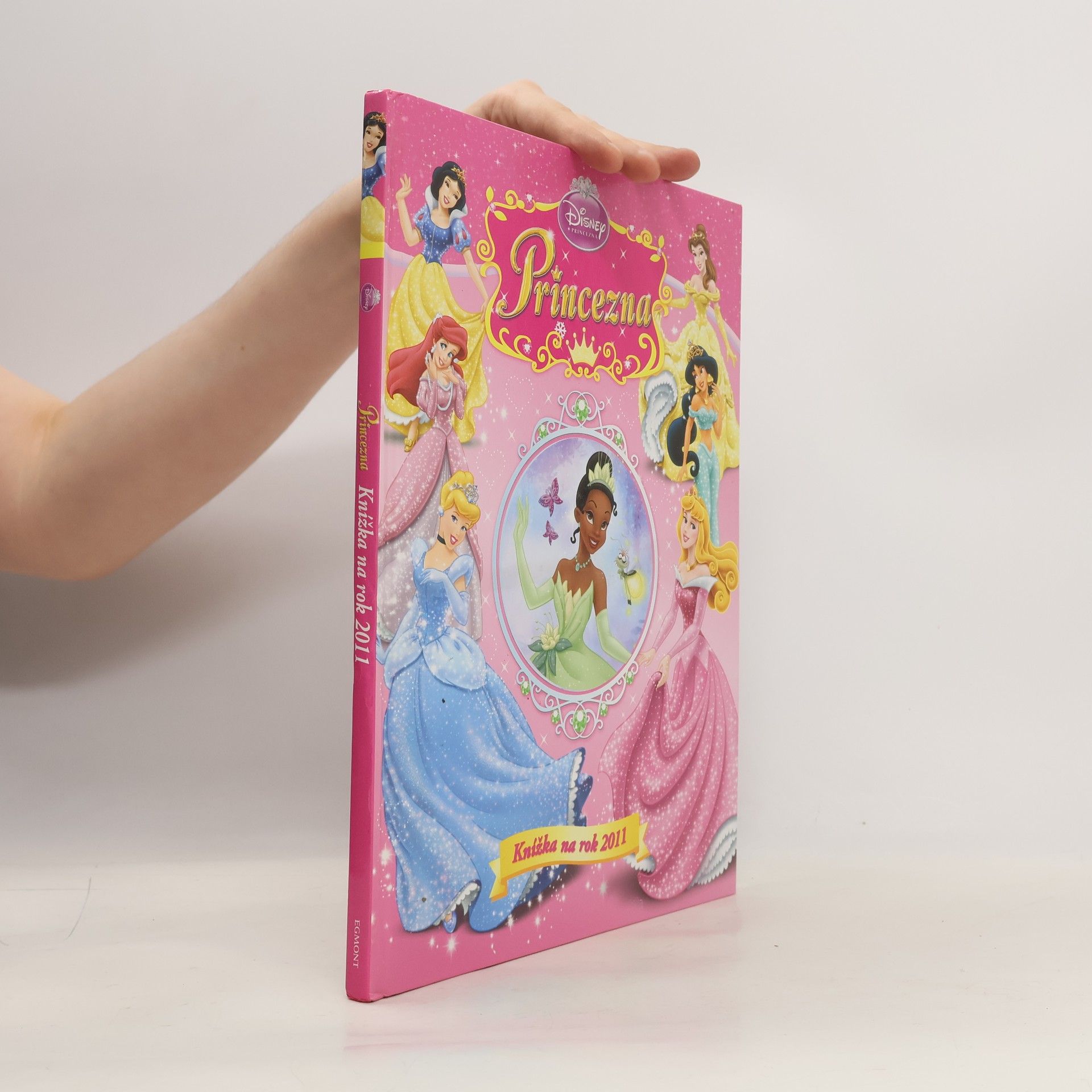 Marie Jedličková Princezna : knížka na rok 2011