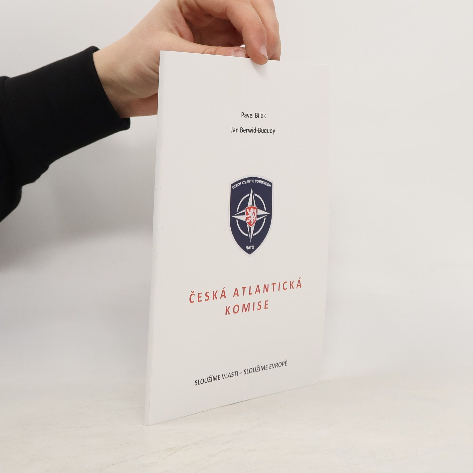 Pavel Bílek Česká atlantická komise
