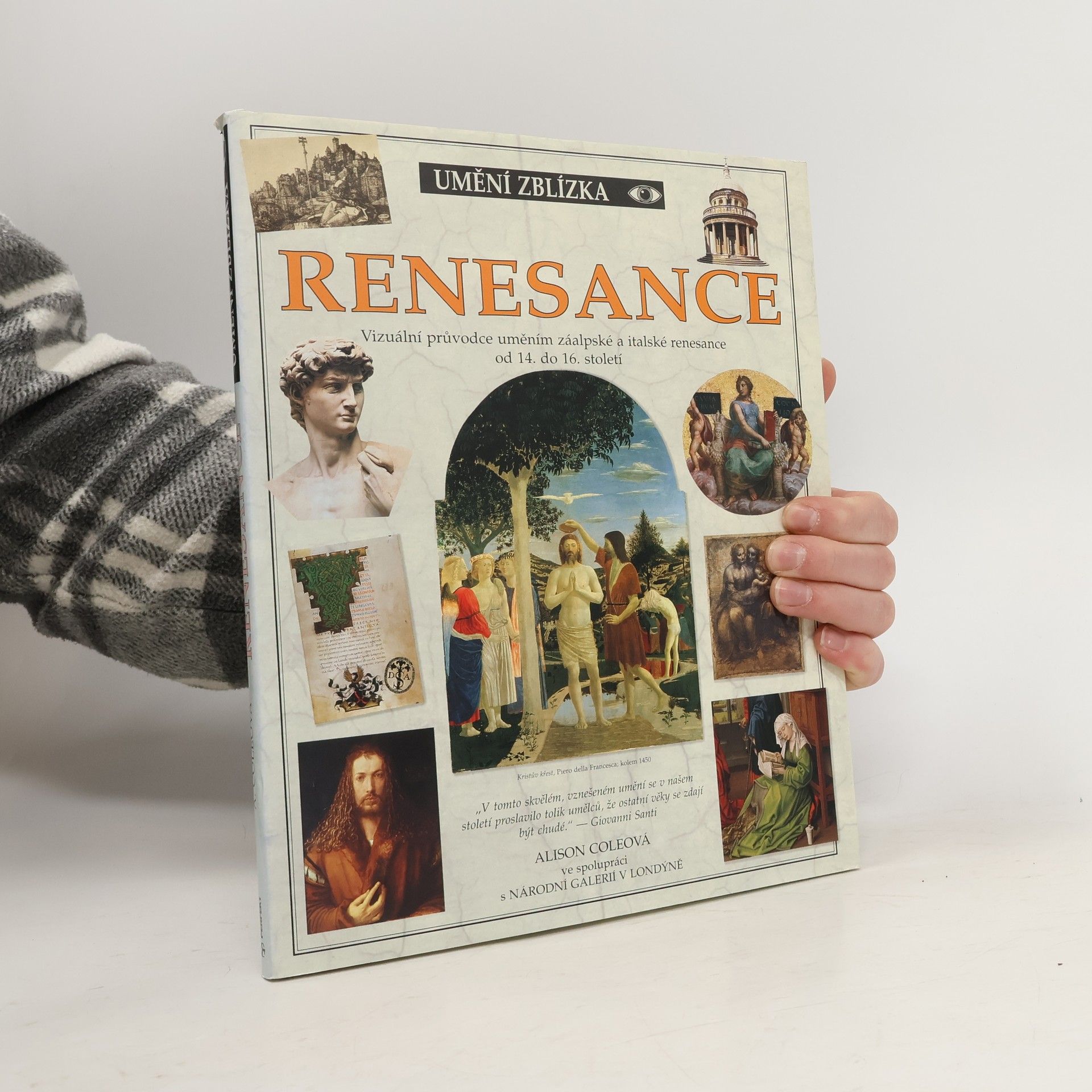 Alison Cole Renesance