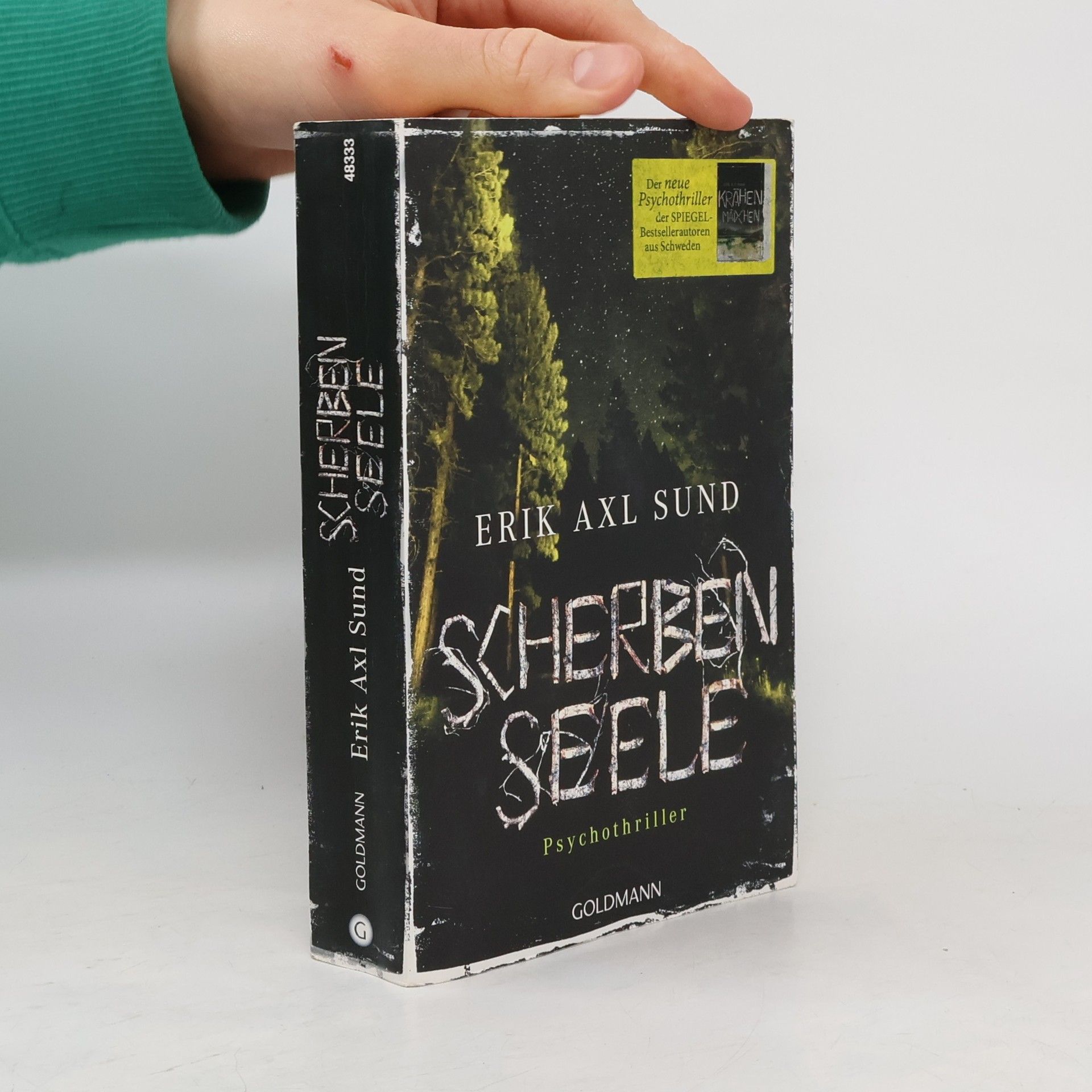 Erik Axl Sund Scherbenseele