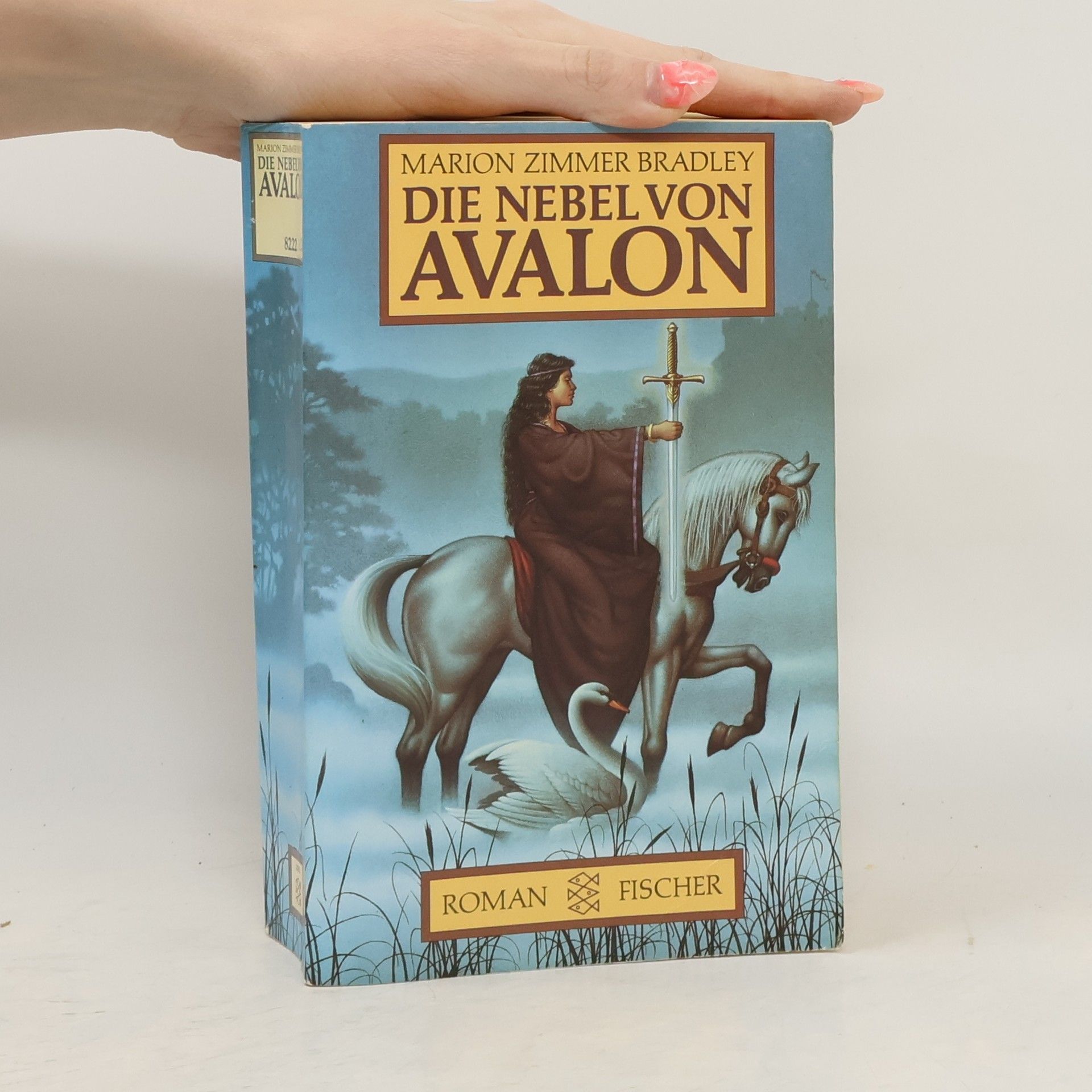 Marion Zimmer Bradley Die Nebel von Avalon