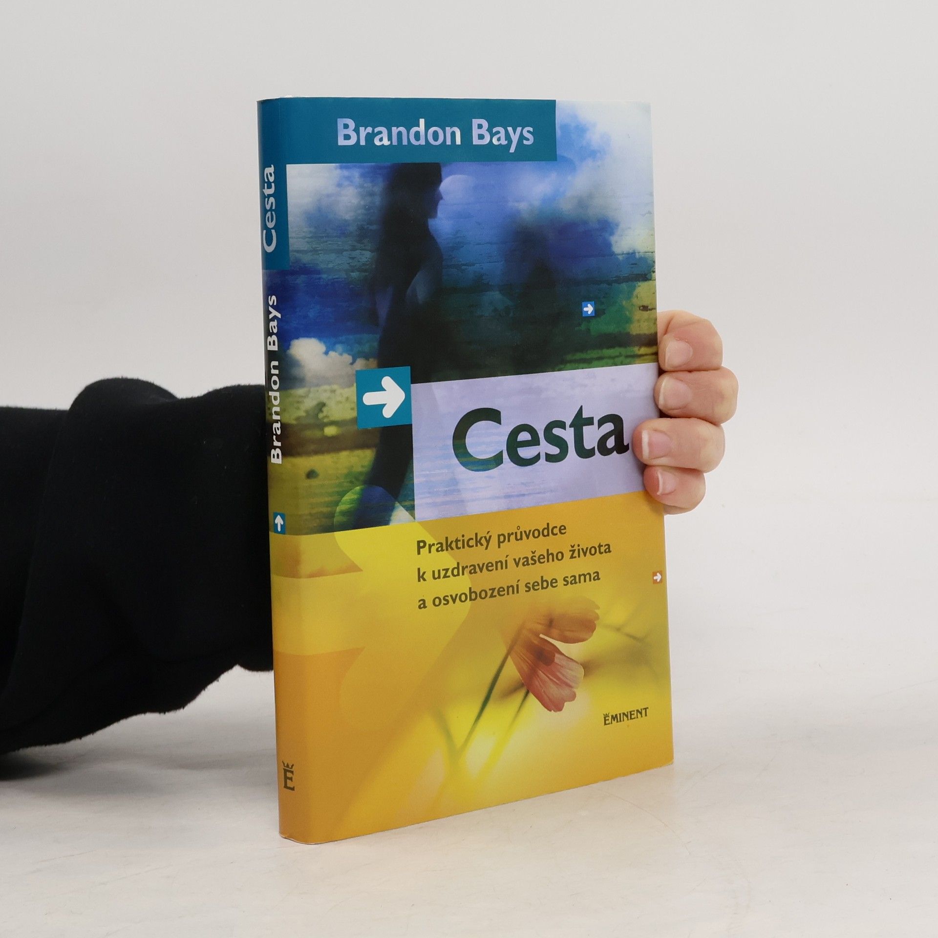 Brandon Bays Cesta