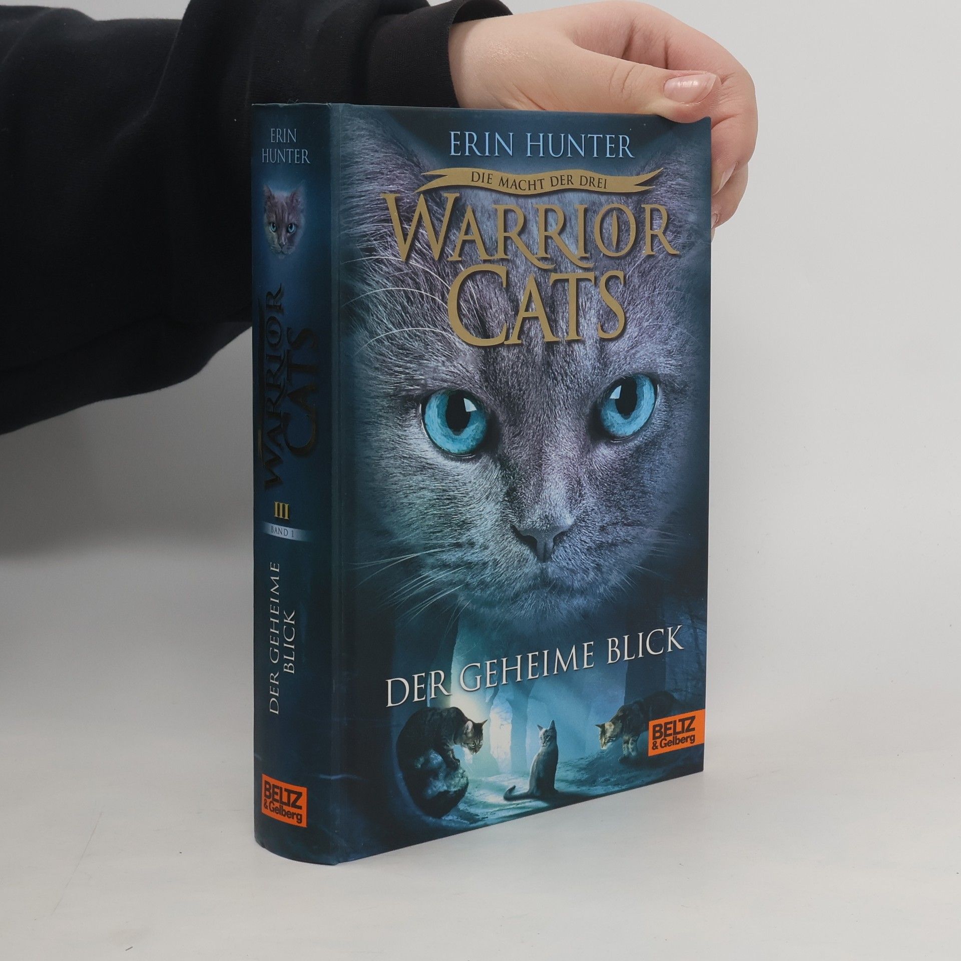 Erin Hunter Warrior Cats: Der geheime Blick