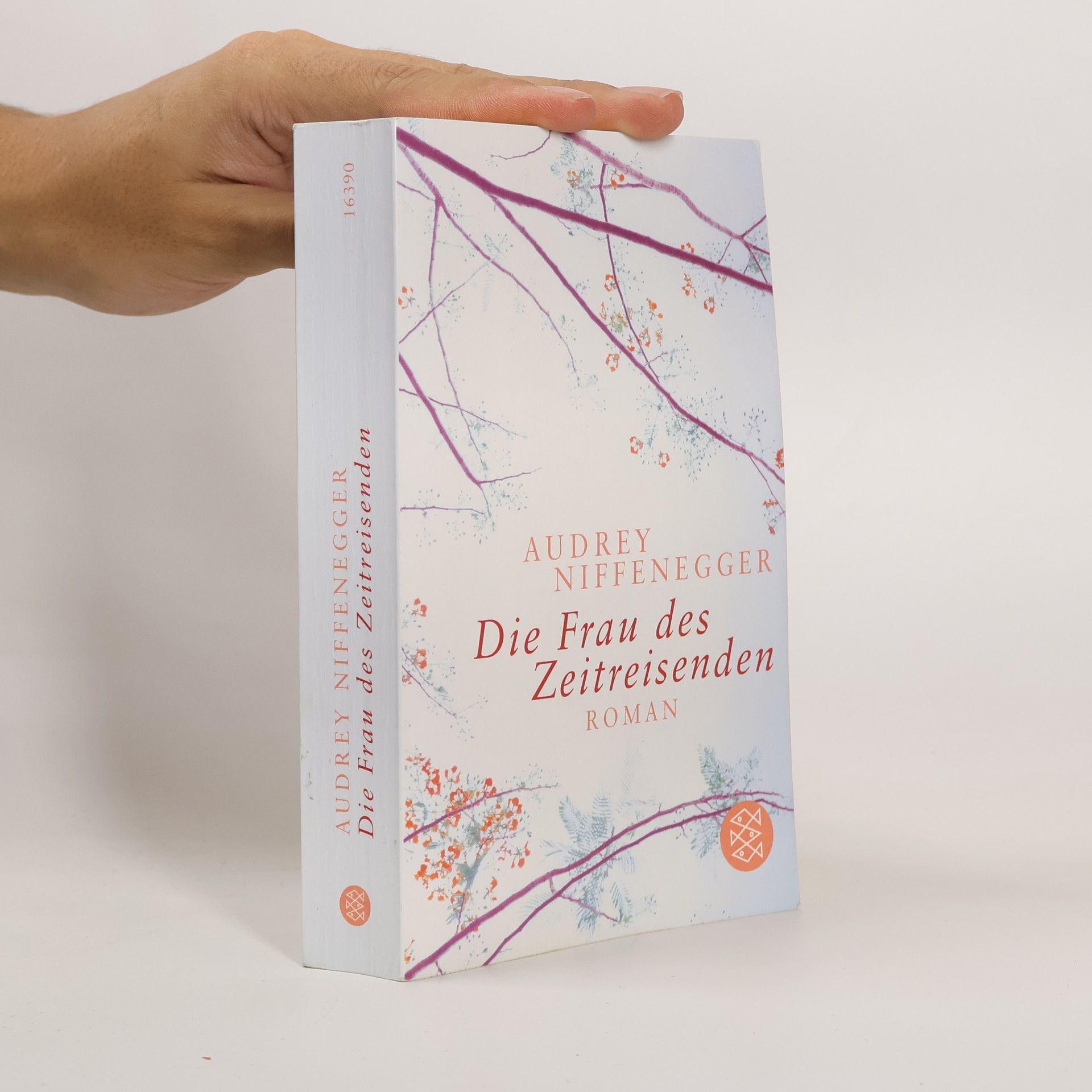 Audrey Niffenegger Die Frau des Zeitreisenden