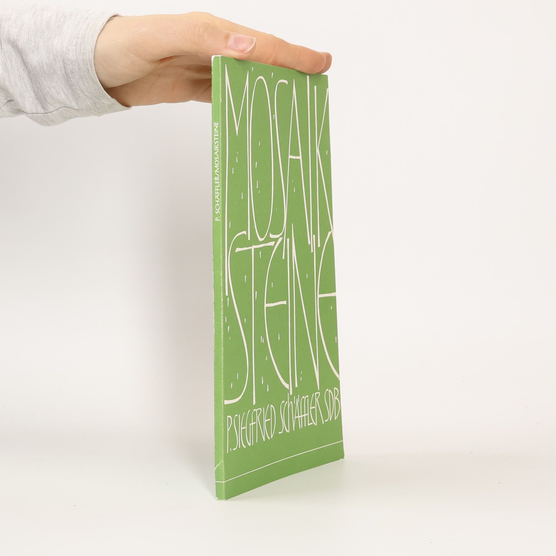 P. Siegfried Schäffler SDB Mosaiksteine