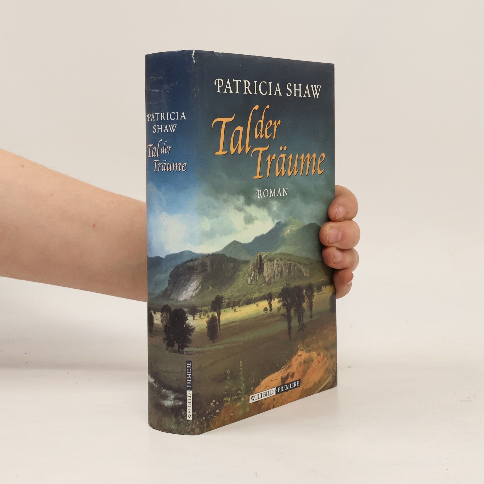 Patricia Shaw Tal der Träume