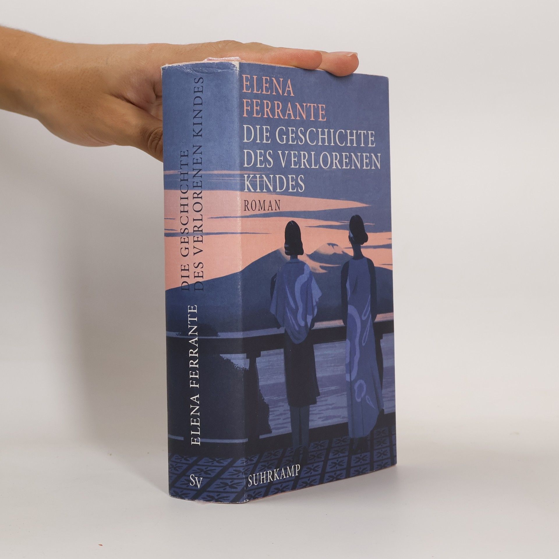 Elena Ferrante Die Geschichte Des Verlorenen Kindes