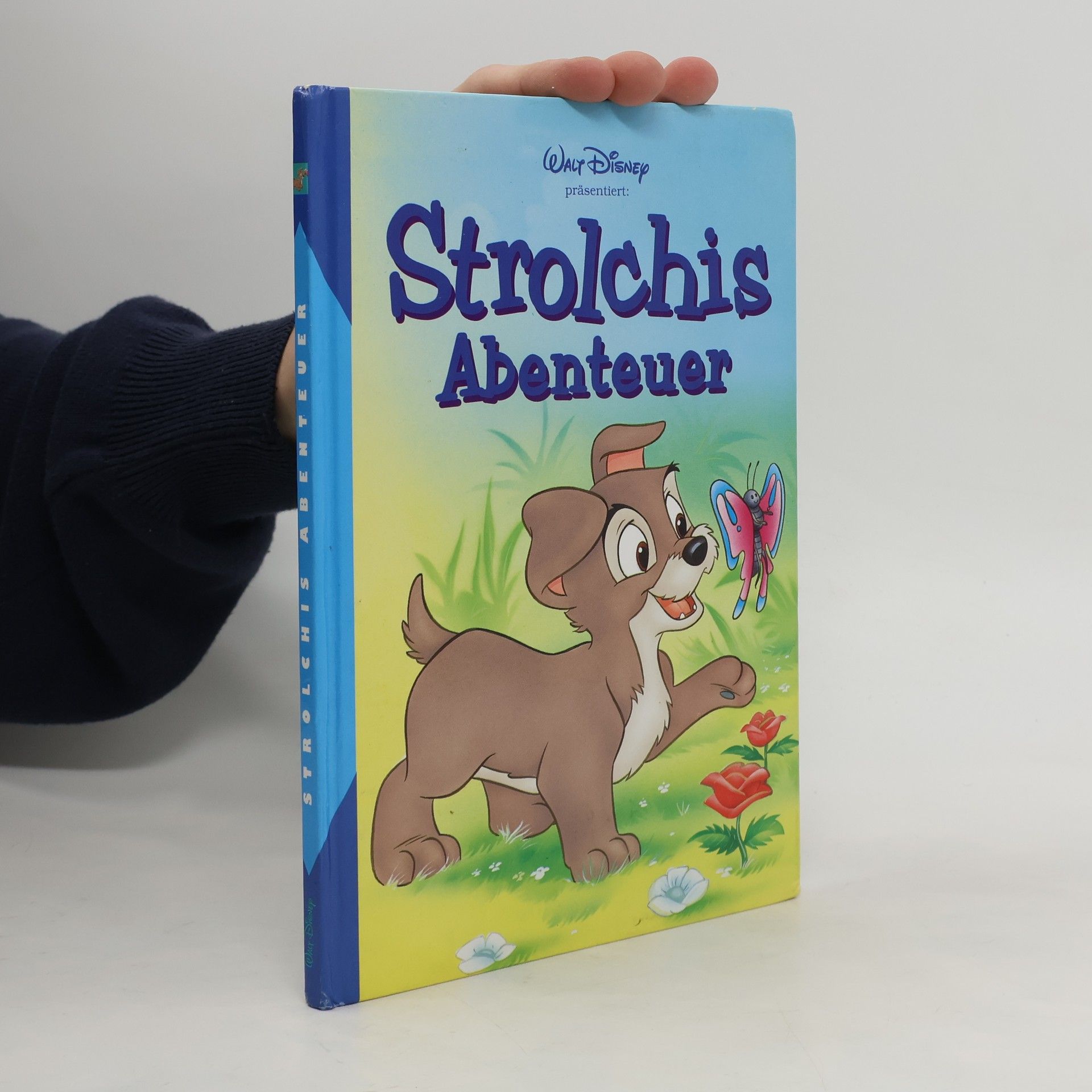 Autorenkollektiv Strolchis Abenteuer